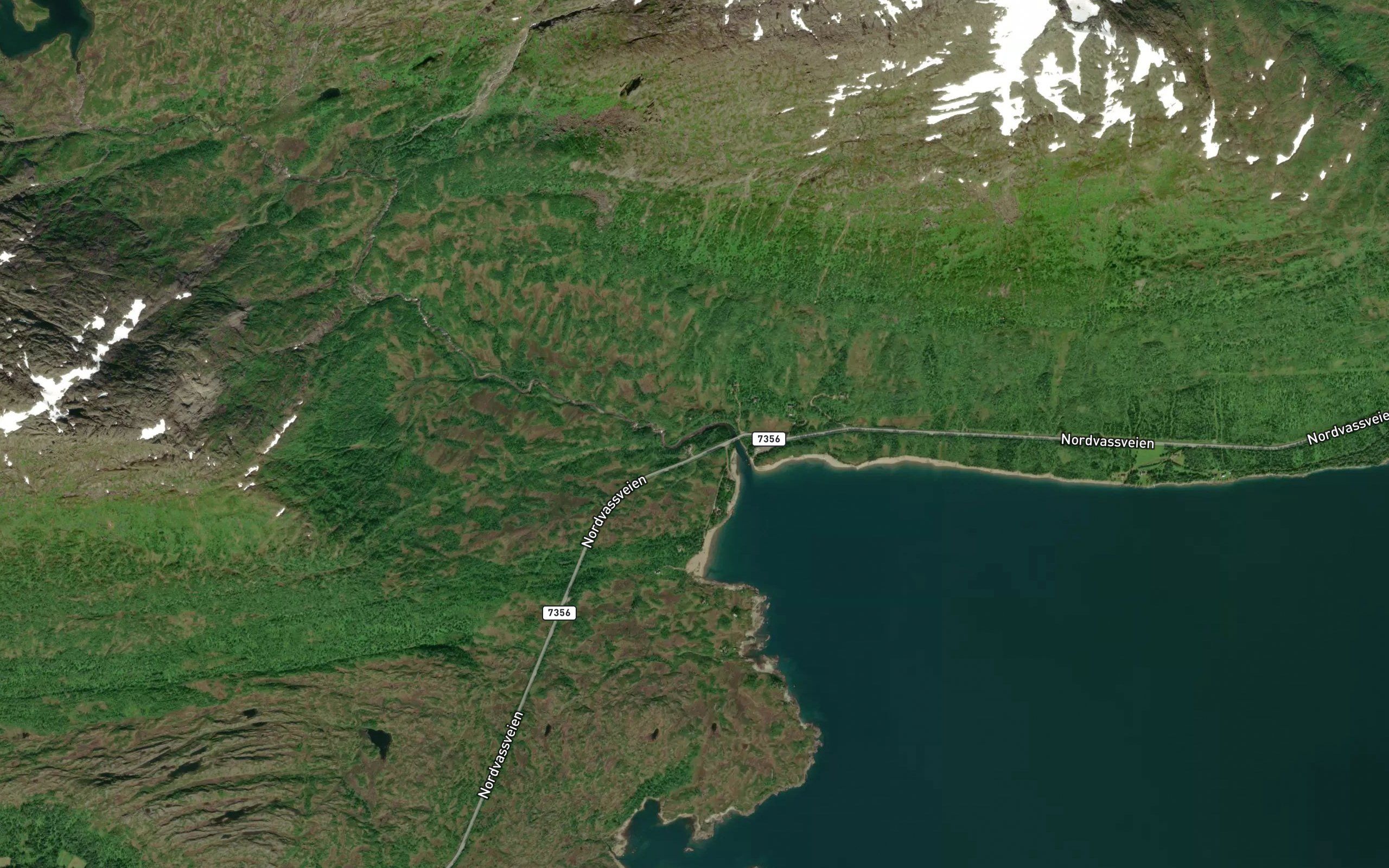 Skarelva