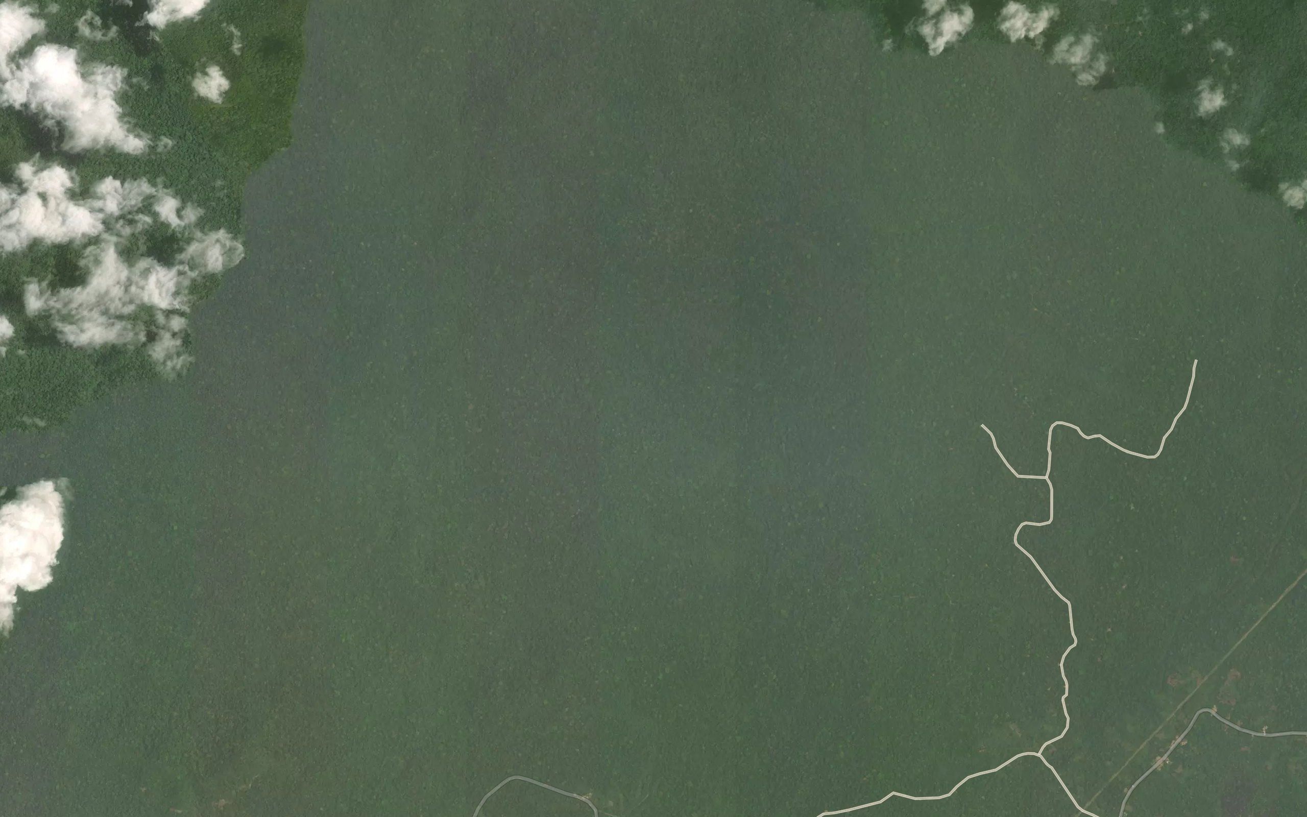 Nyafoue
