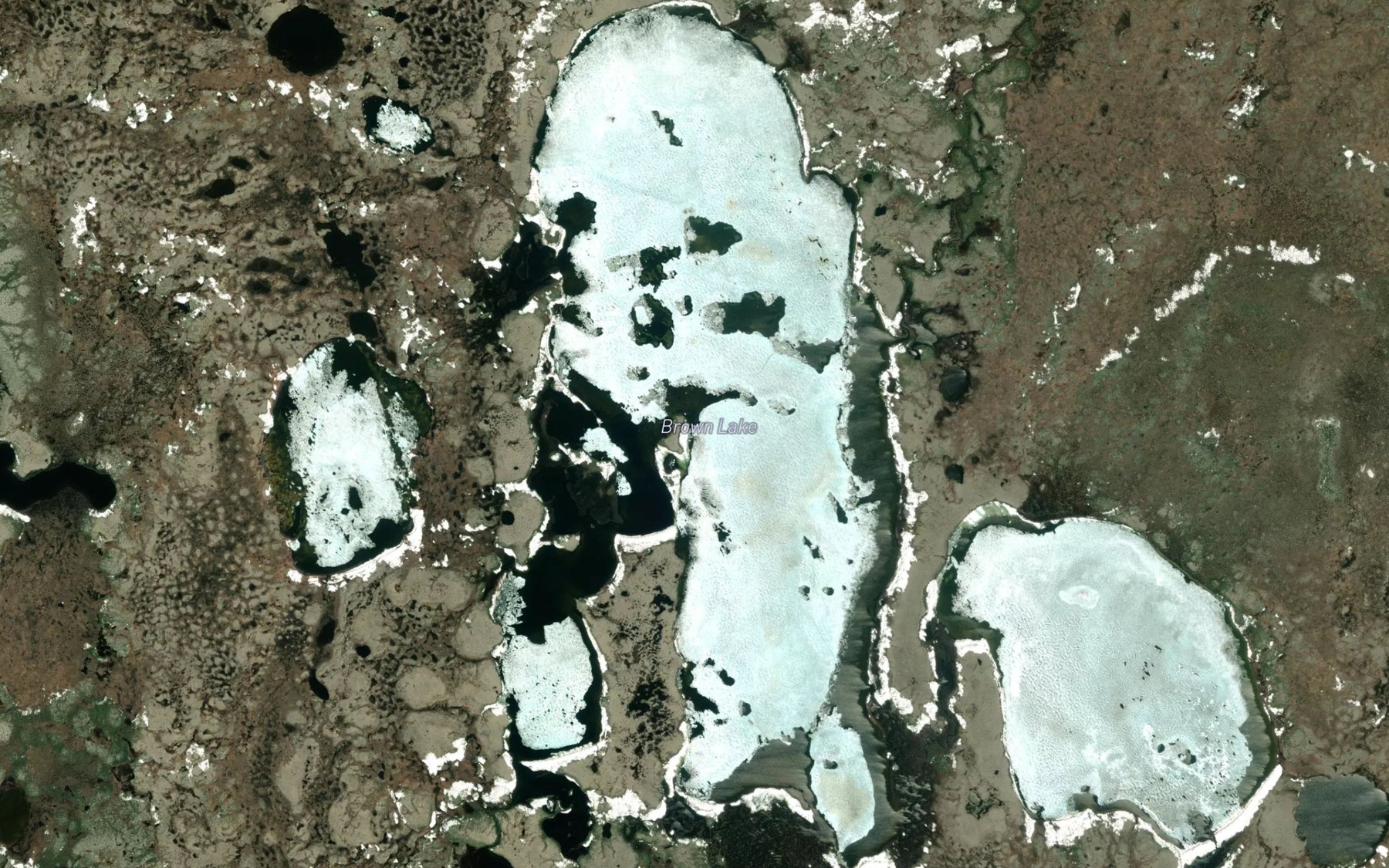 Satellite map of the Brown Lake