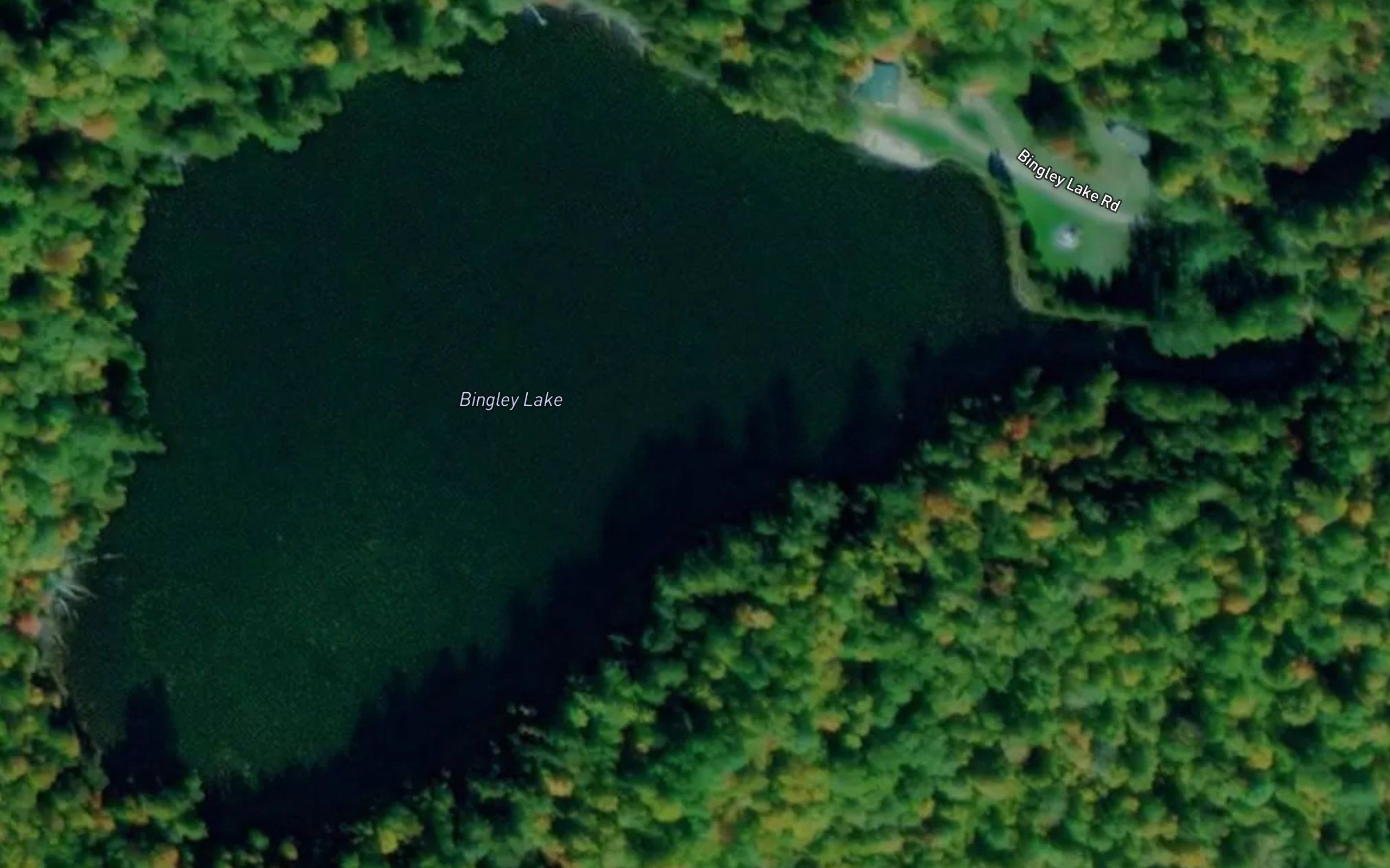 Bingley Lake