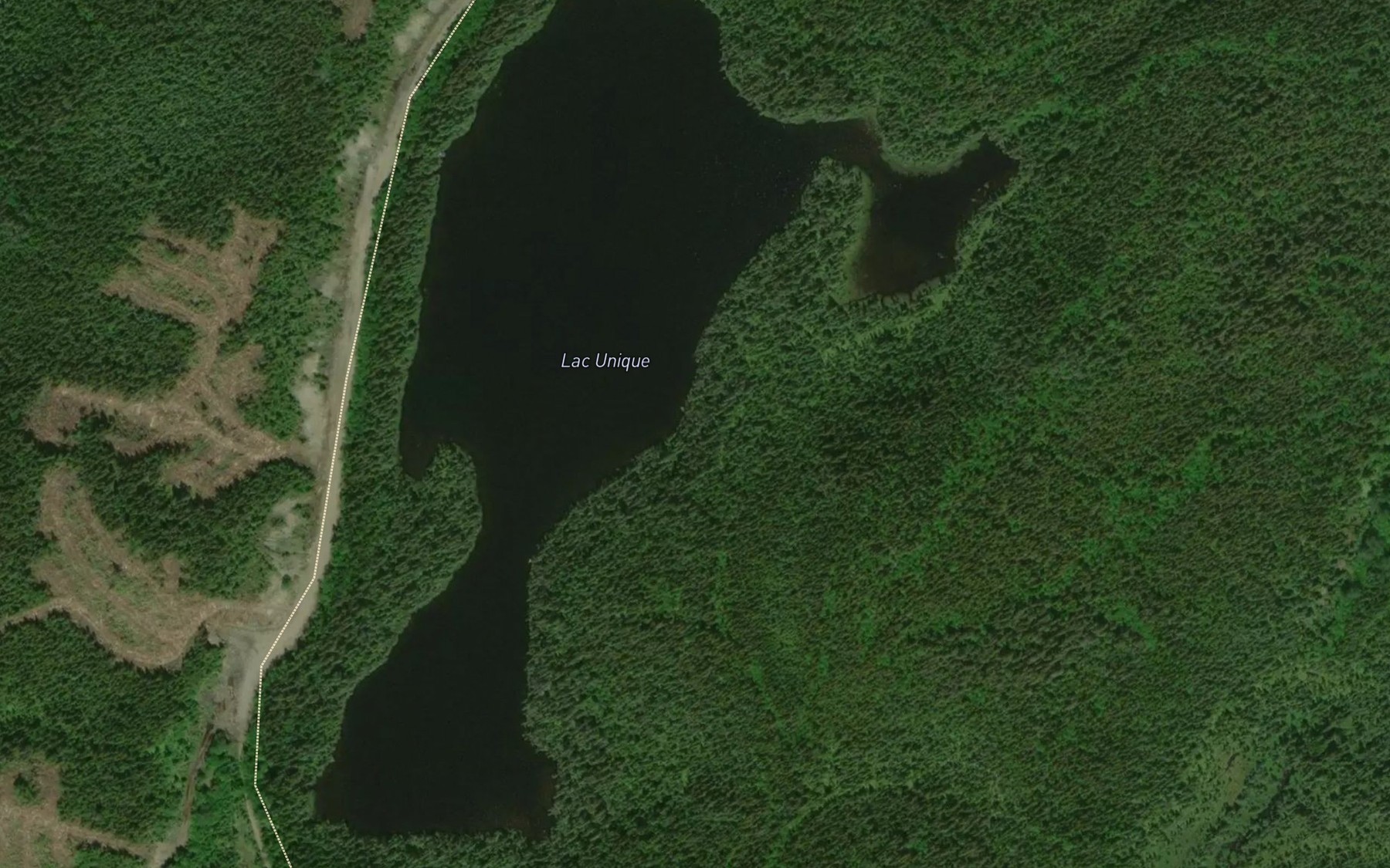 Satellite map of the Lac Unique