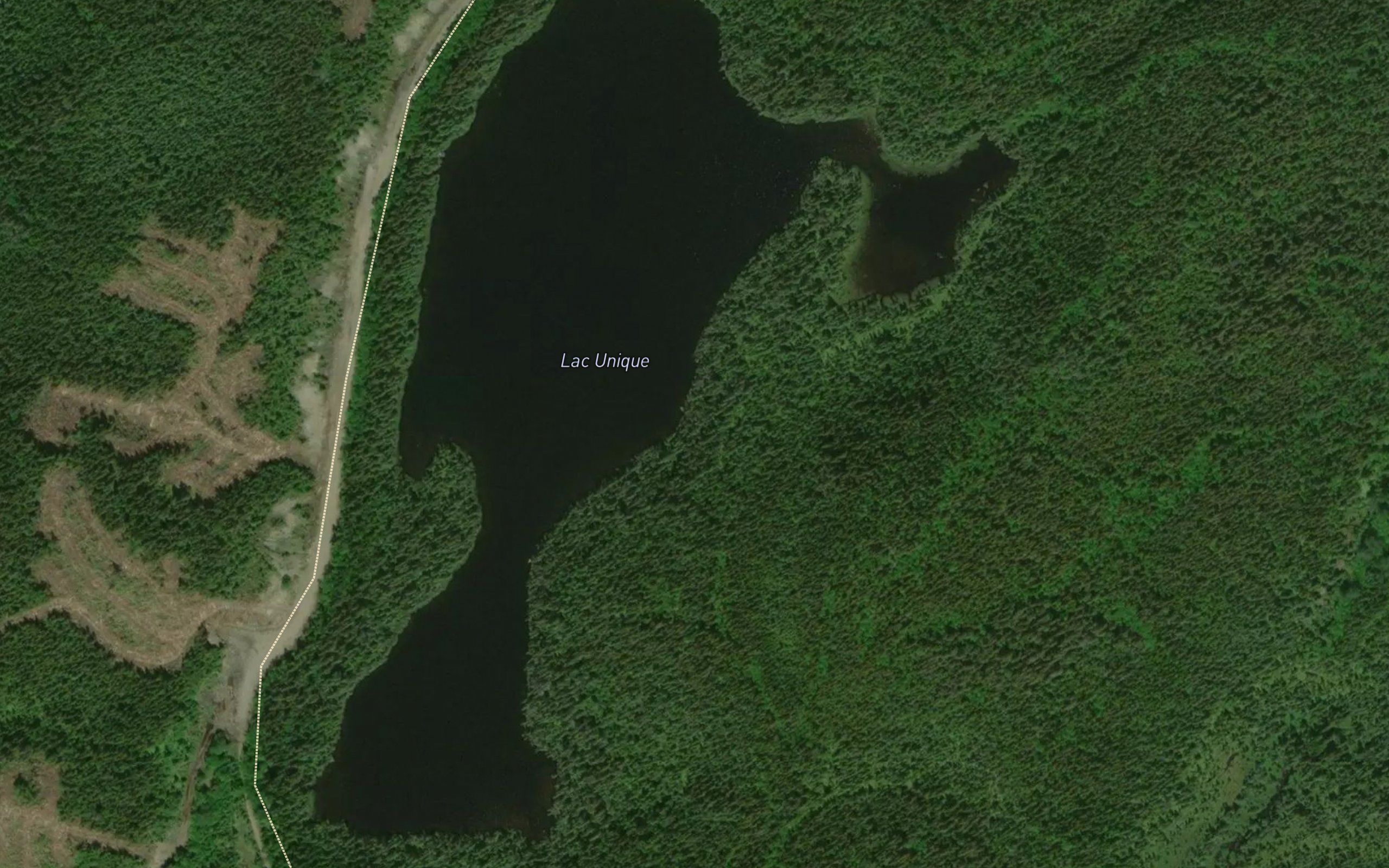 Lac Unique