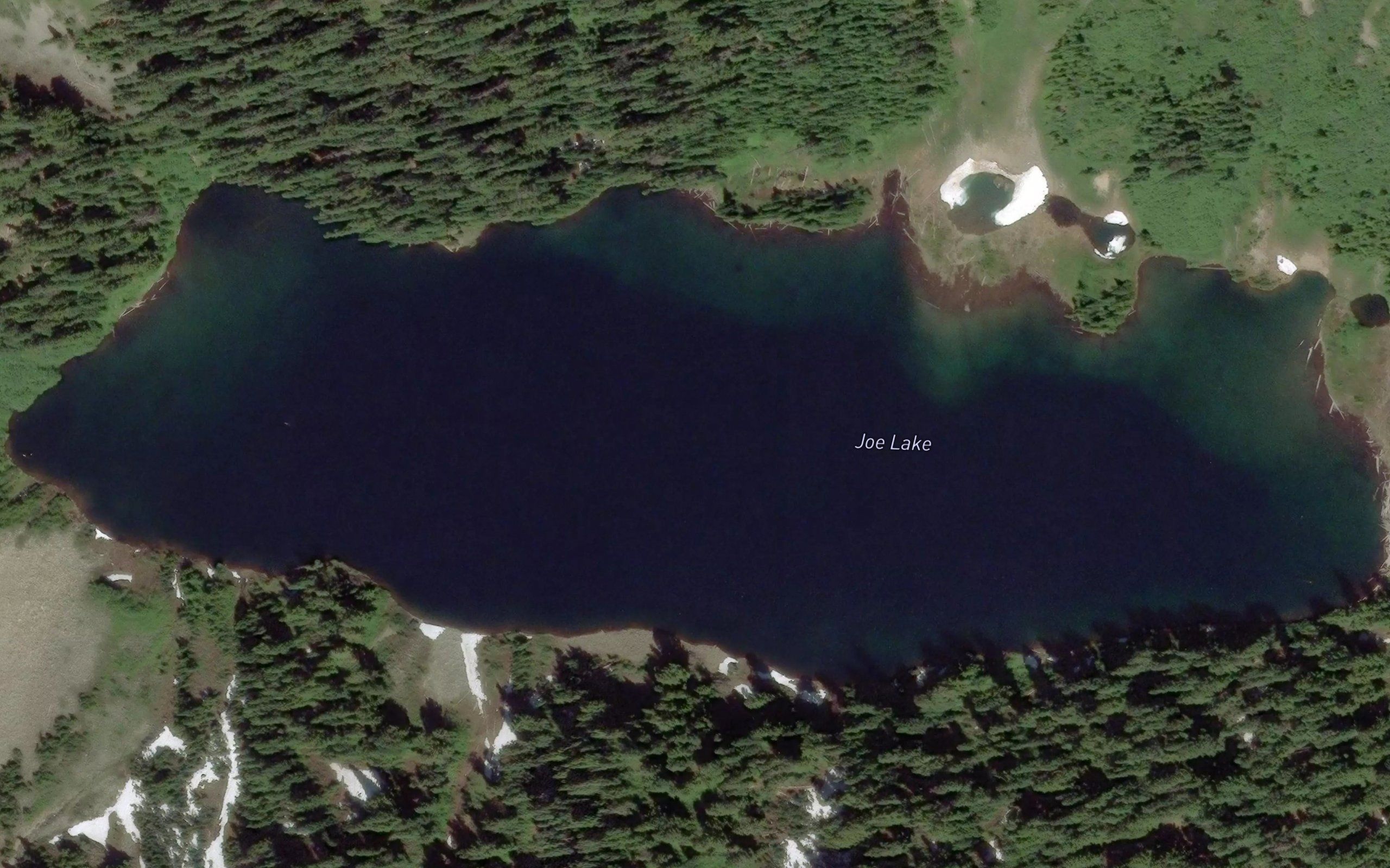 Joe Lake