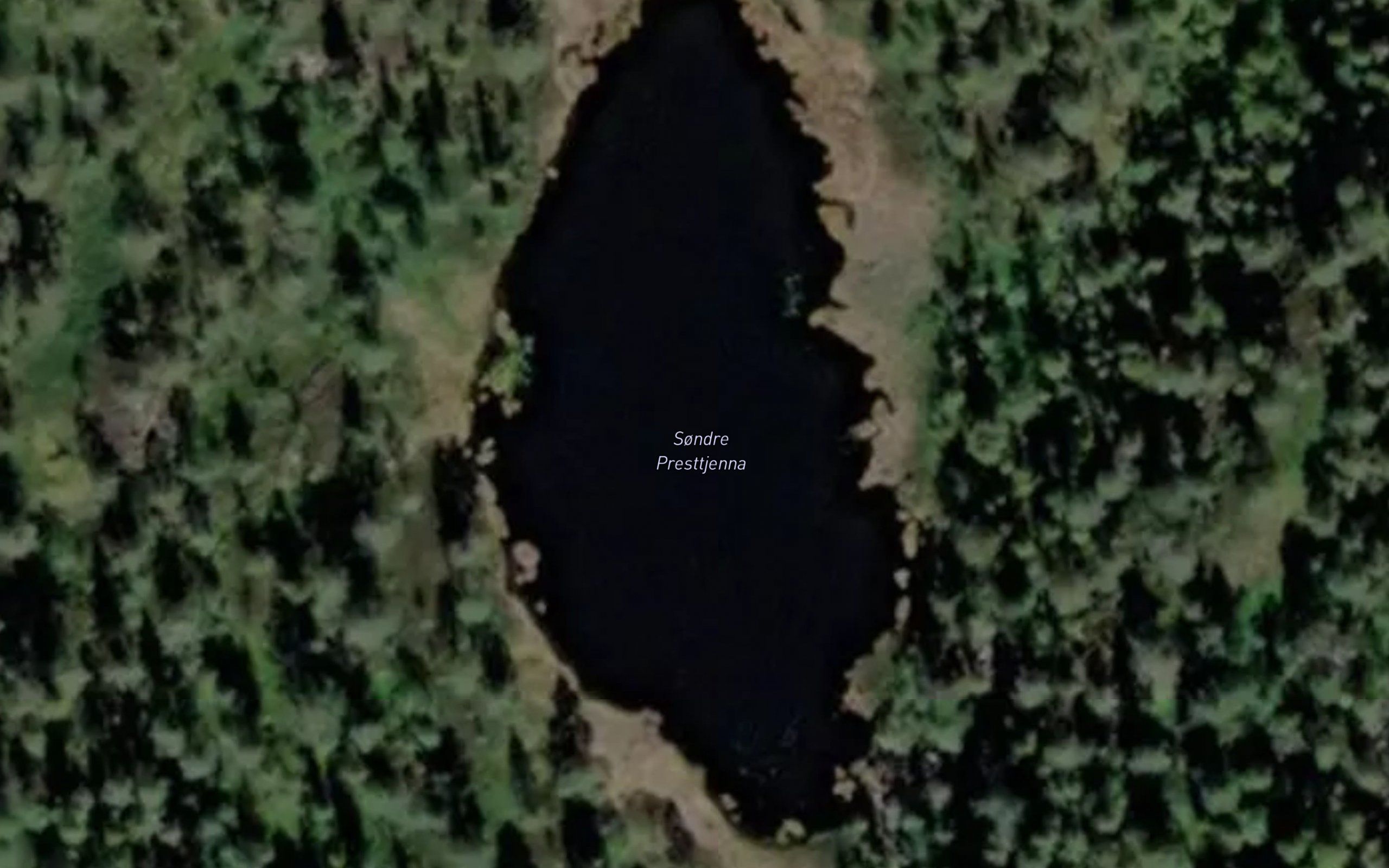 Presttjorn,s