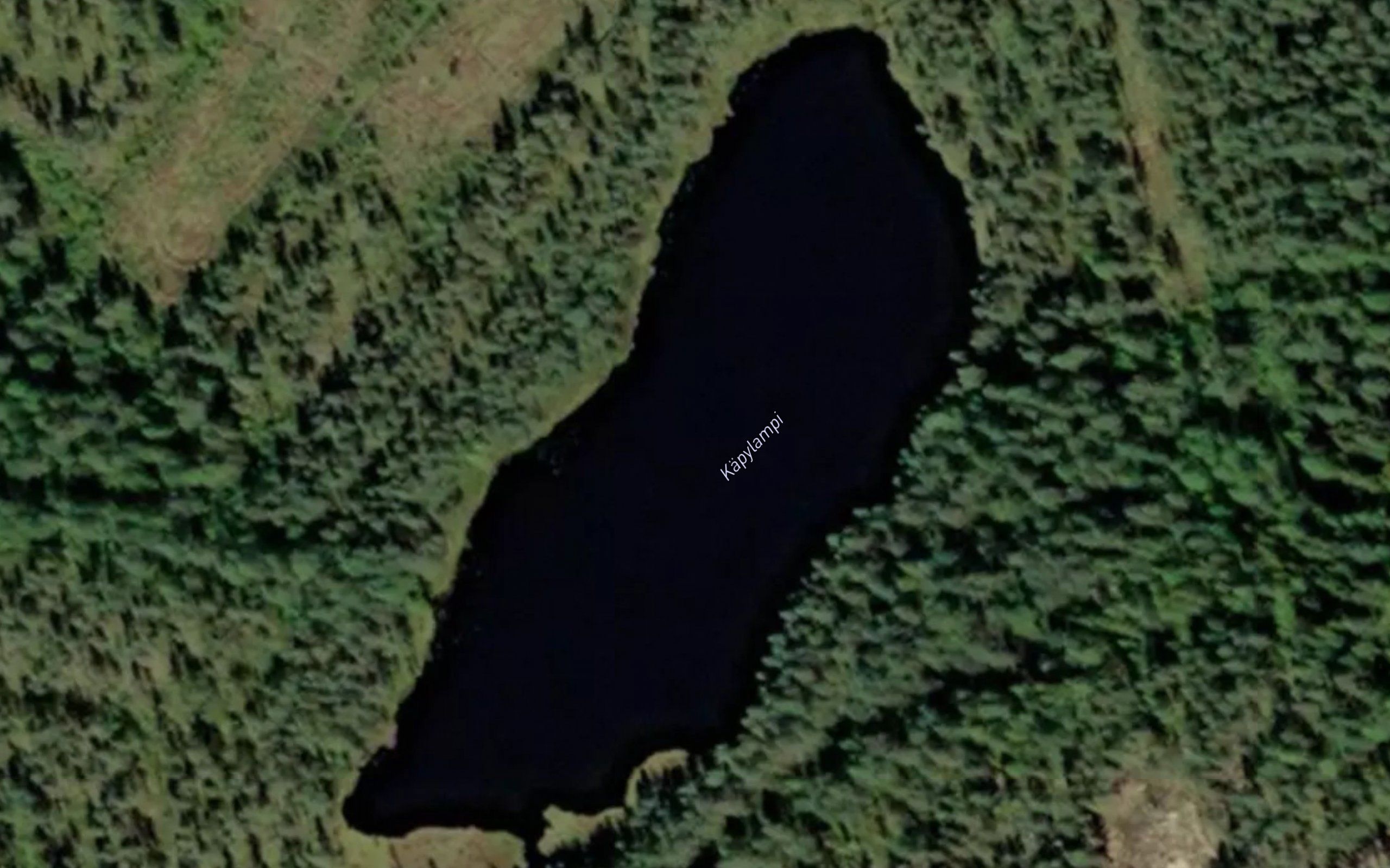 Kapylampi