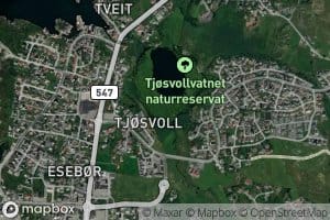 Tjosvollvatnet