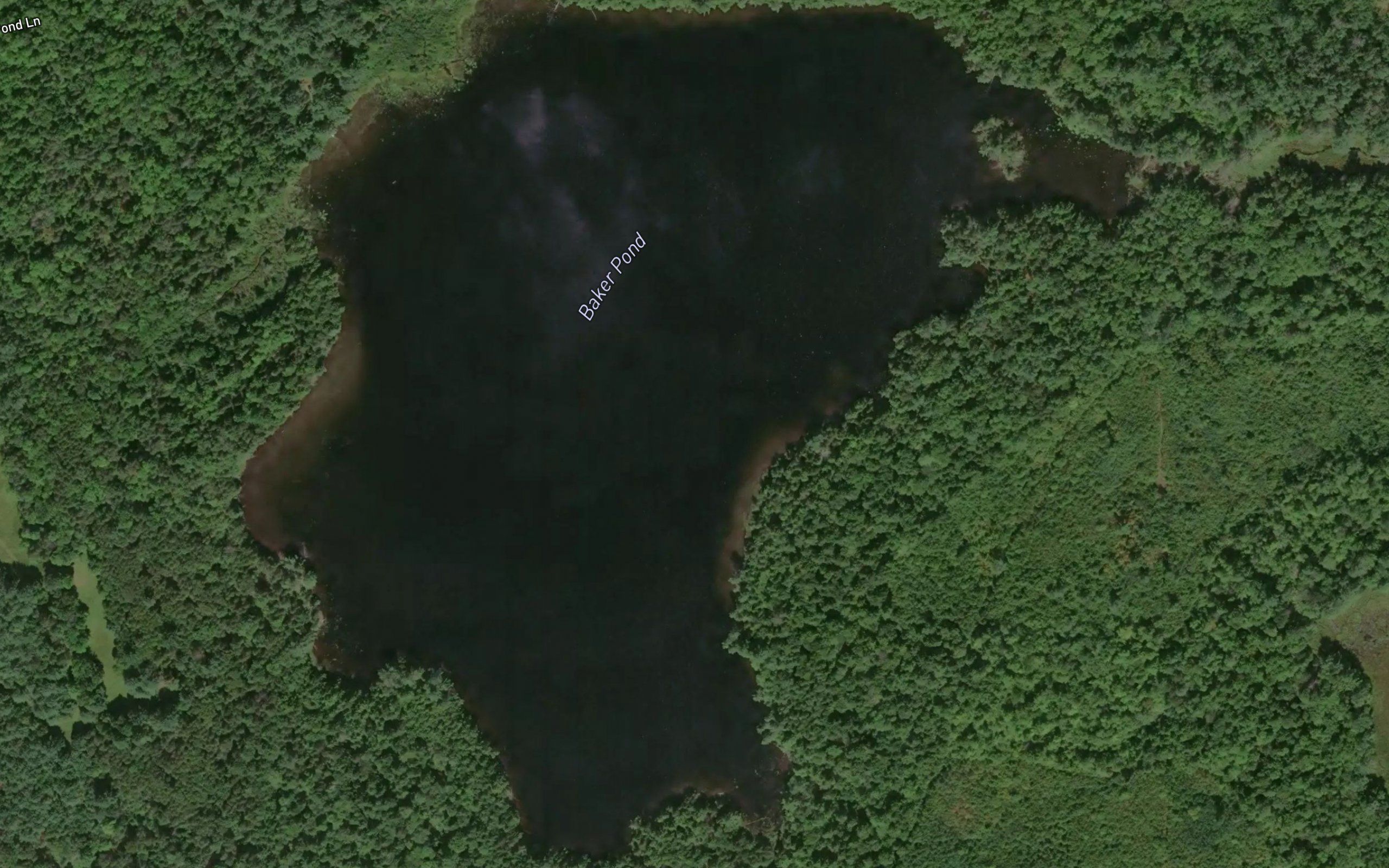 Baker Pond