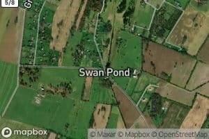 Swan Pond Spring