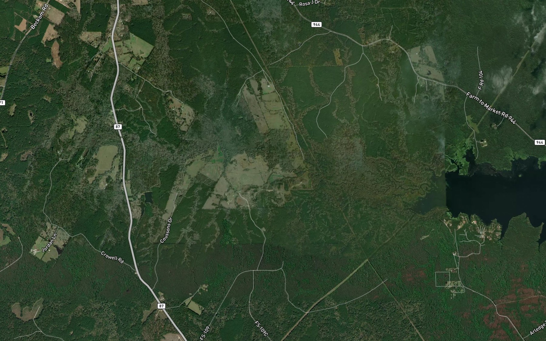 Satellite map of the Sulphur Lick Branch