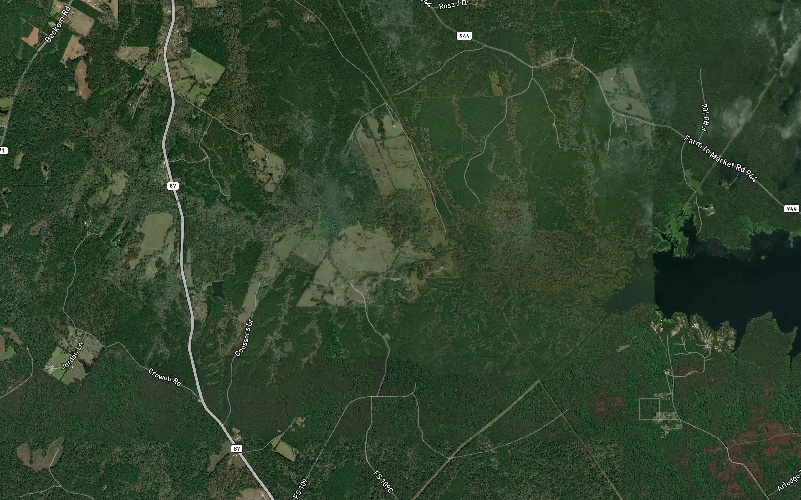 Sulphur Lick Branch