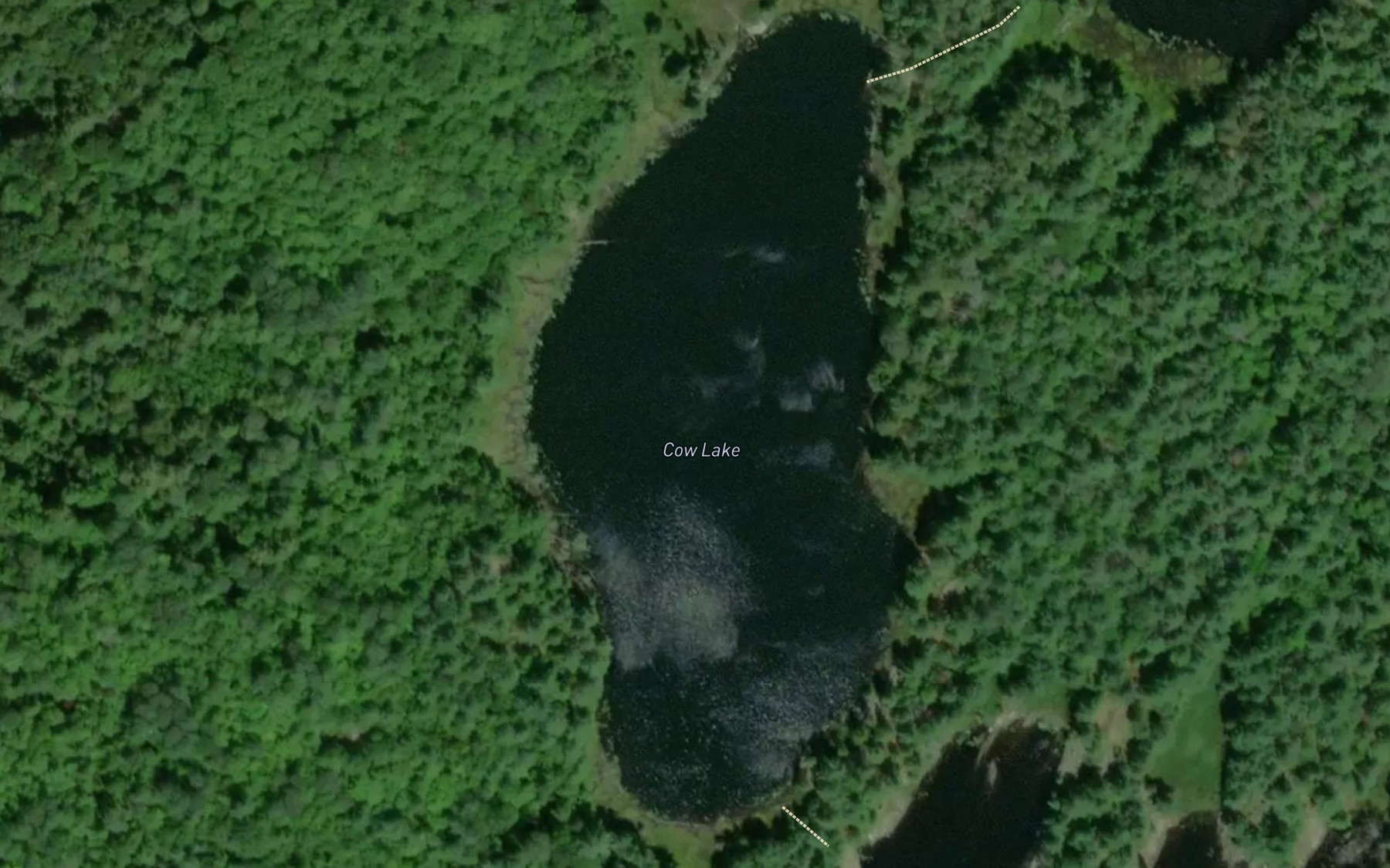 Satellite map of the Cow Lake