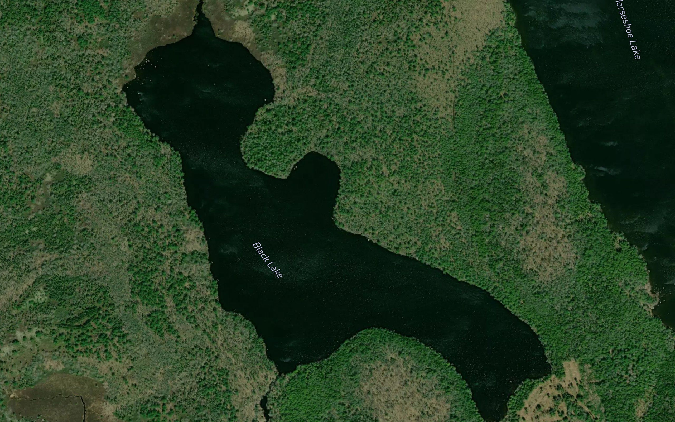 Black Lake