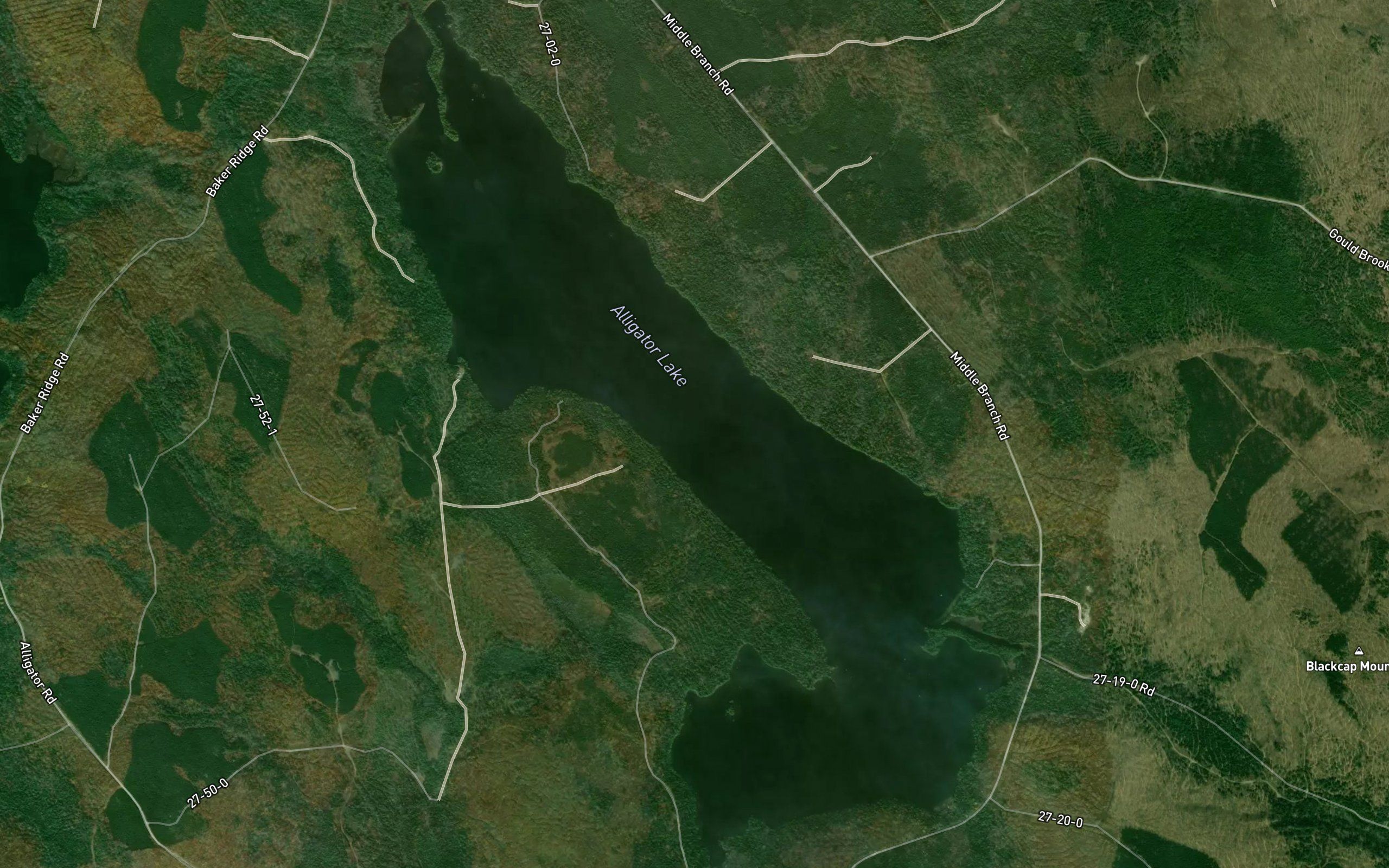Alligator Lake