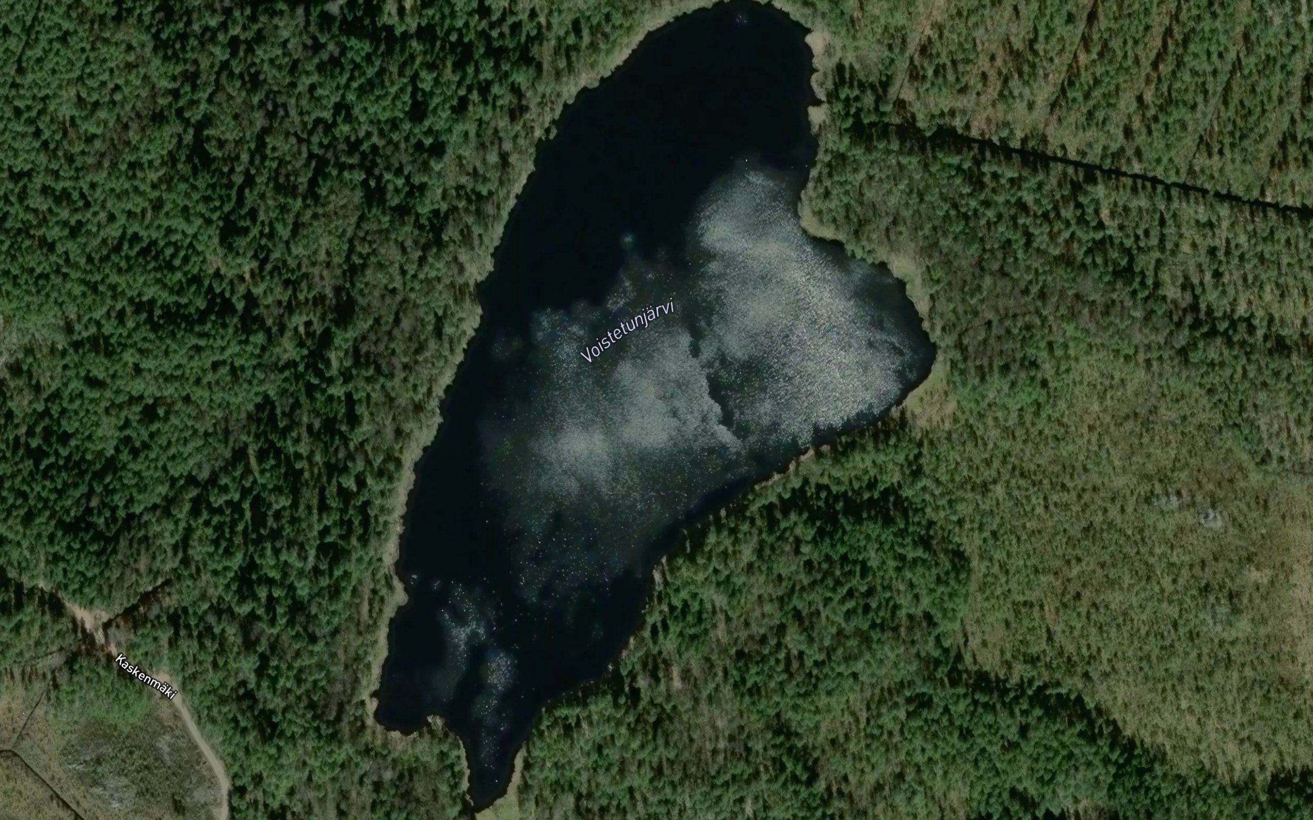 Voistetunjarvi