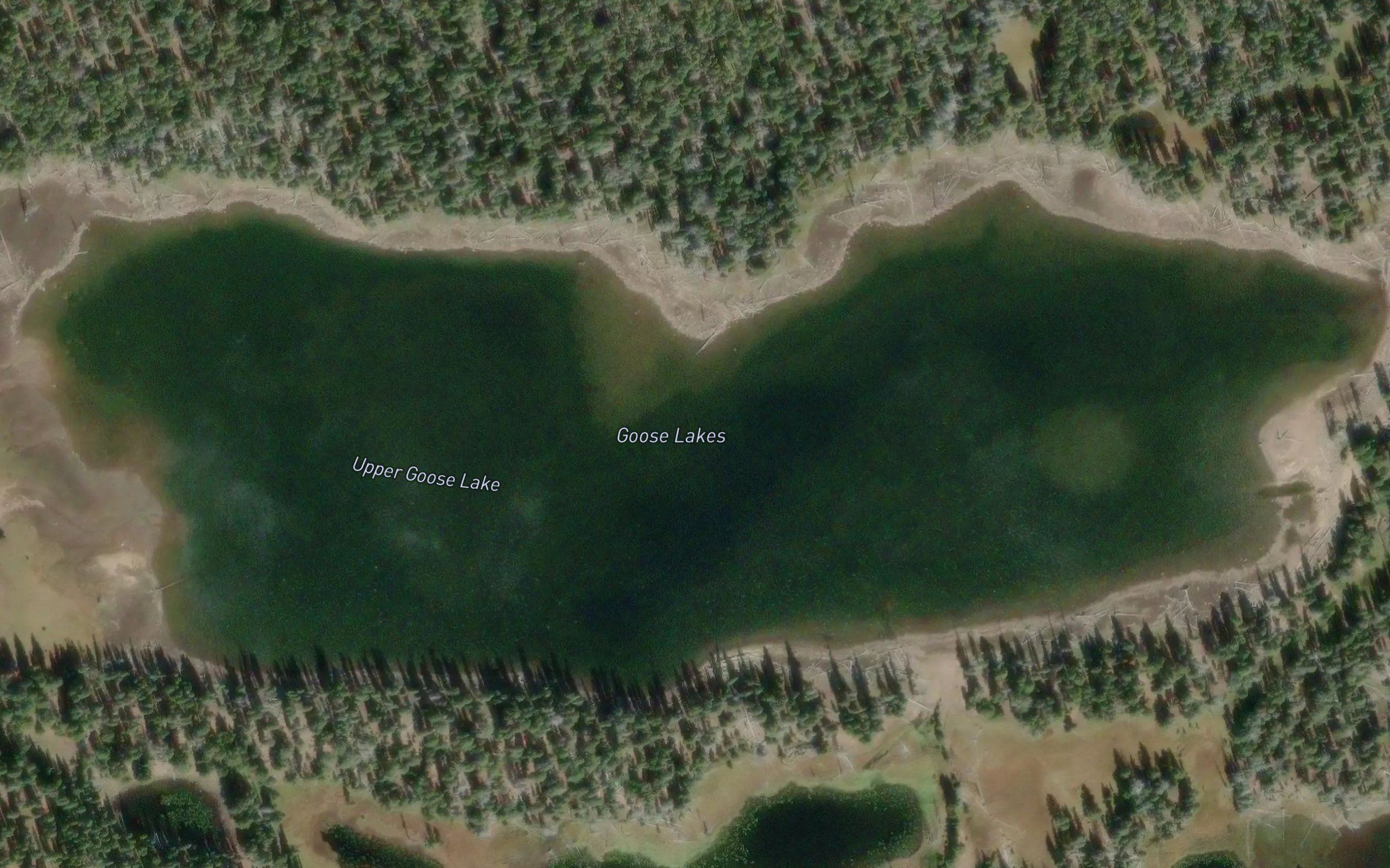 Goose Lakes