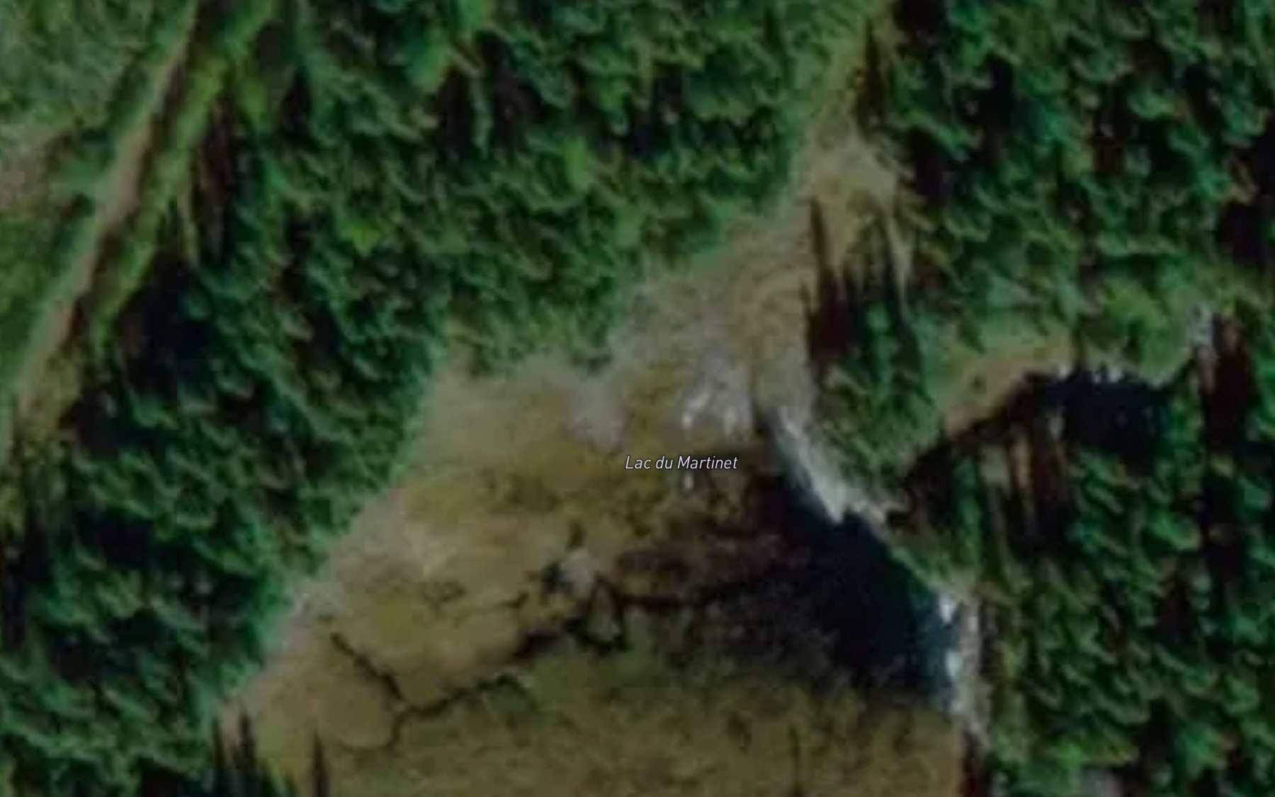 Satellite map of the Lac du Martinet