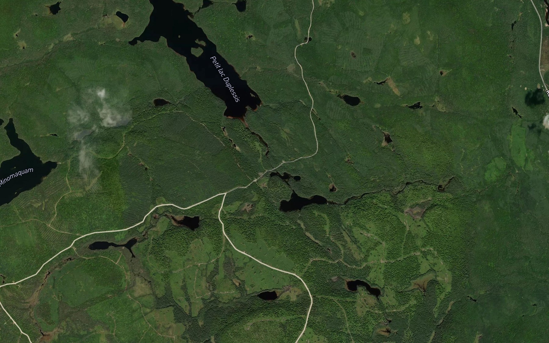 Satellite map of the Decharge du Lac la Loutre