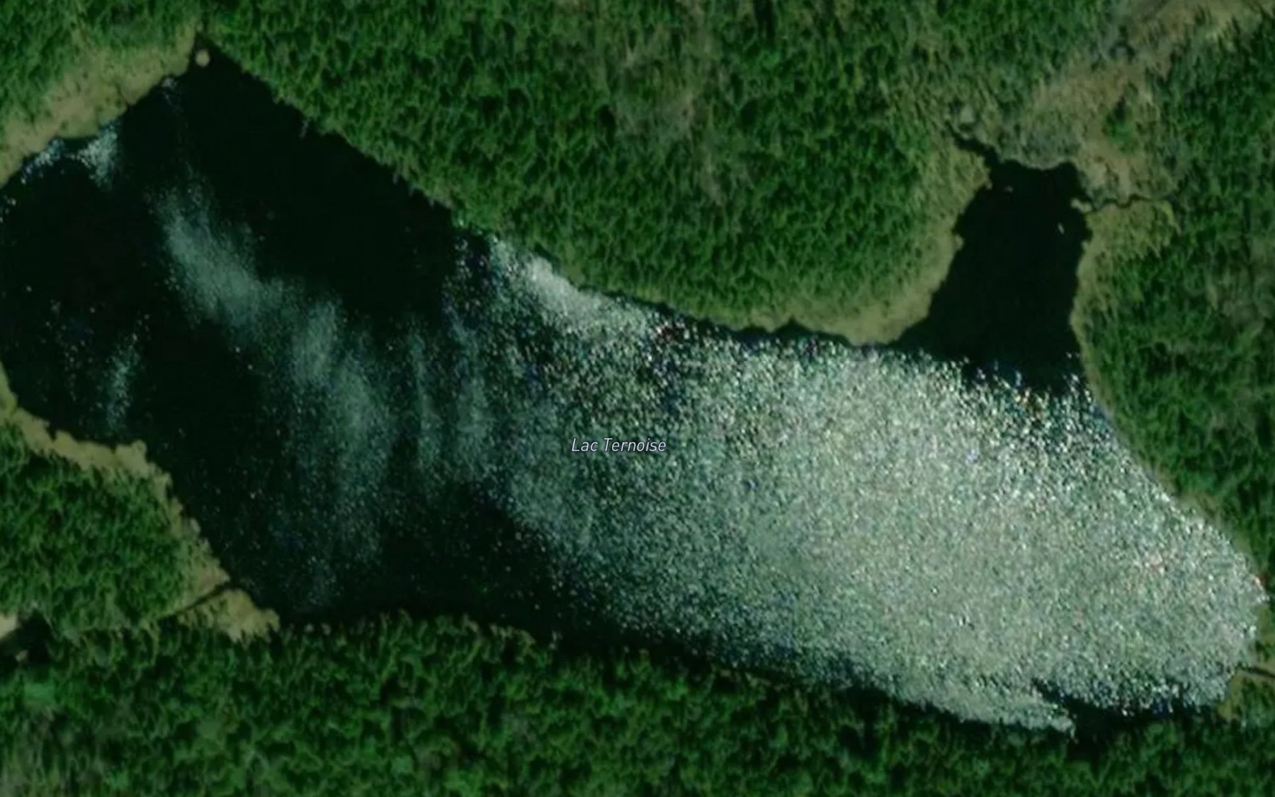 Satellite map of the Lac Ternoise
