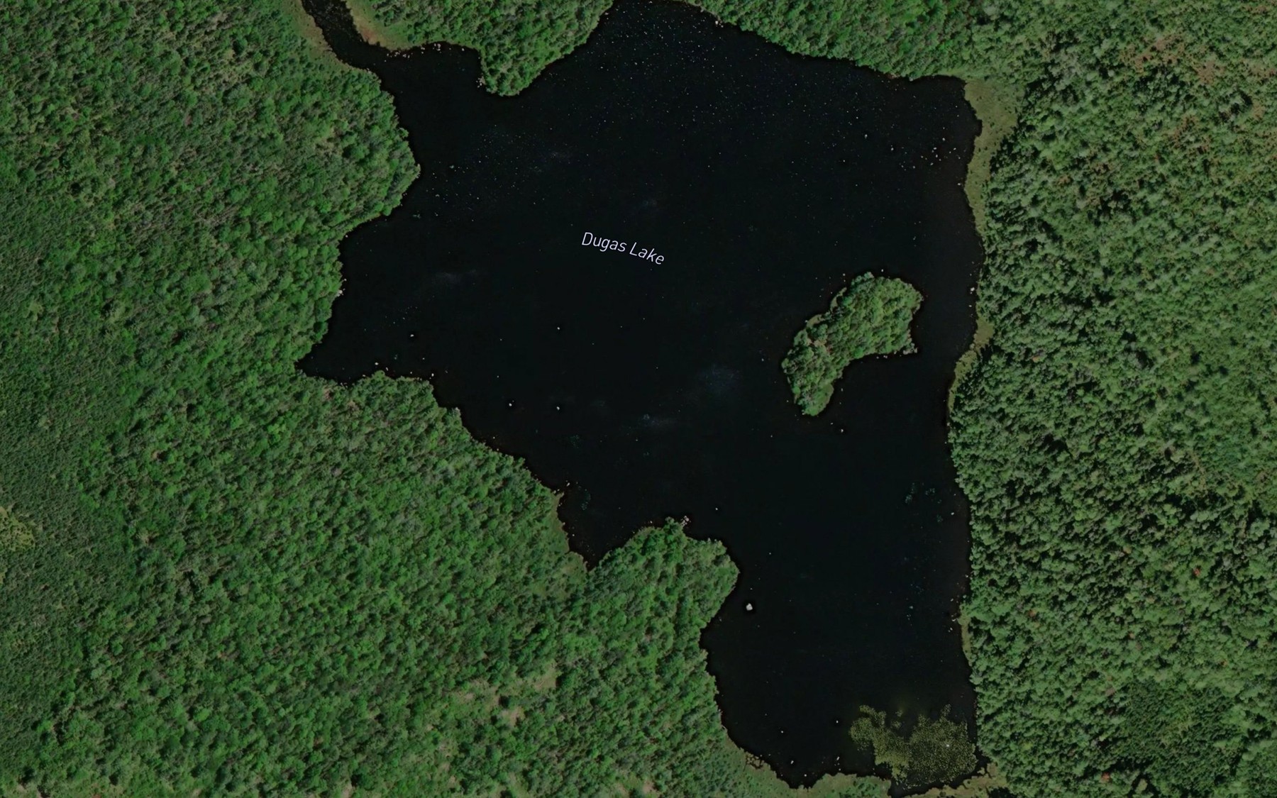 Satellite map of the Dugas Lake