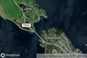 Skanseviki