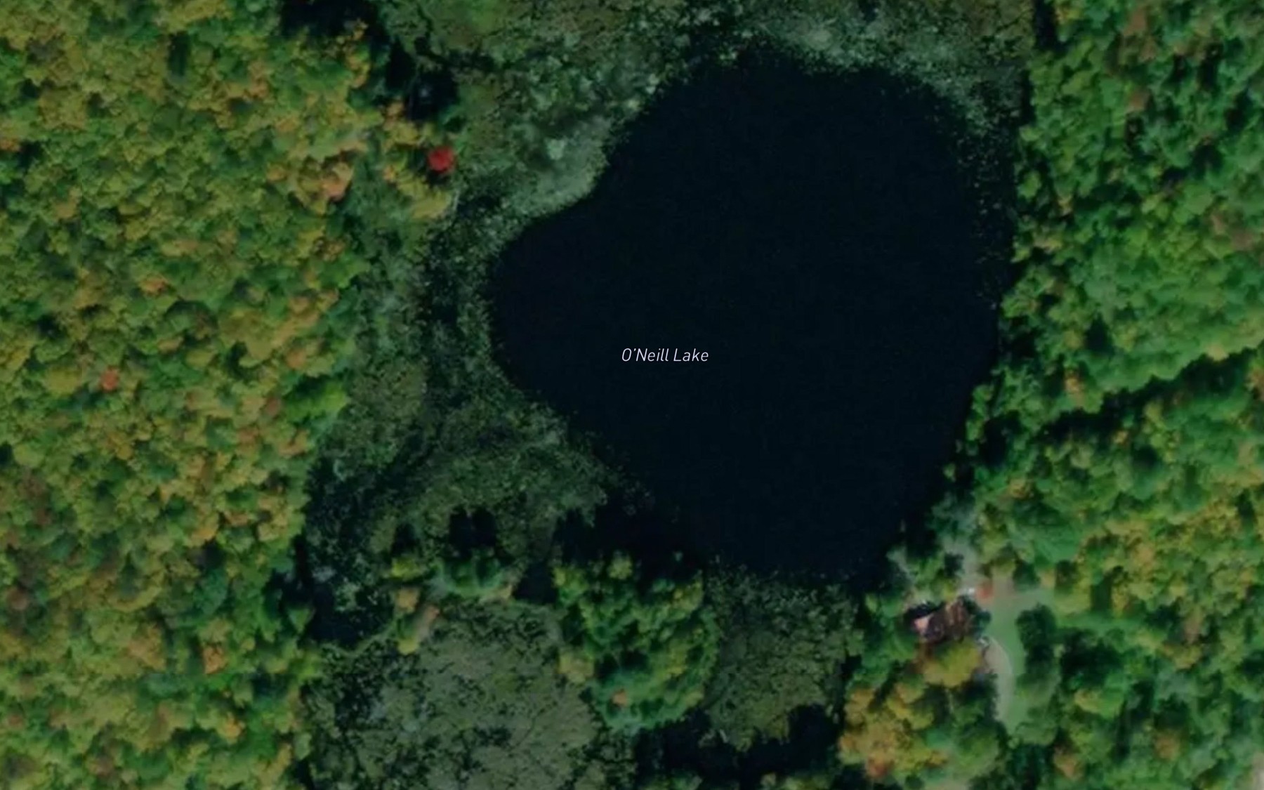 Satellite map of the O'Neill Lake