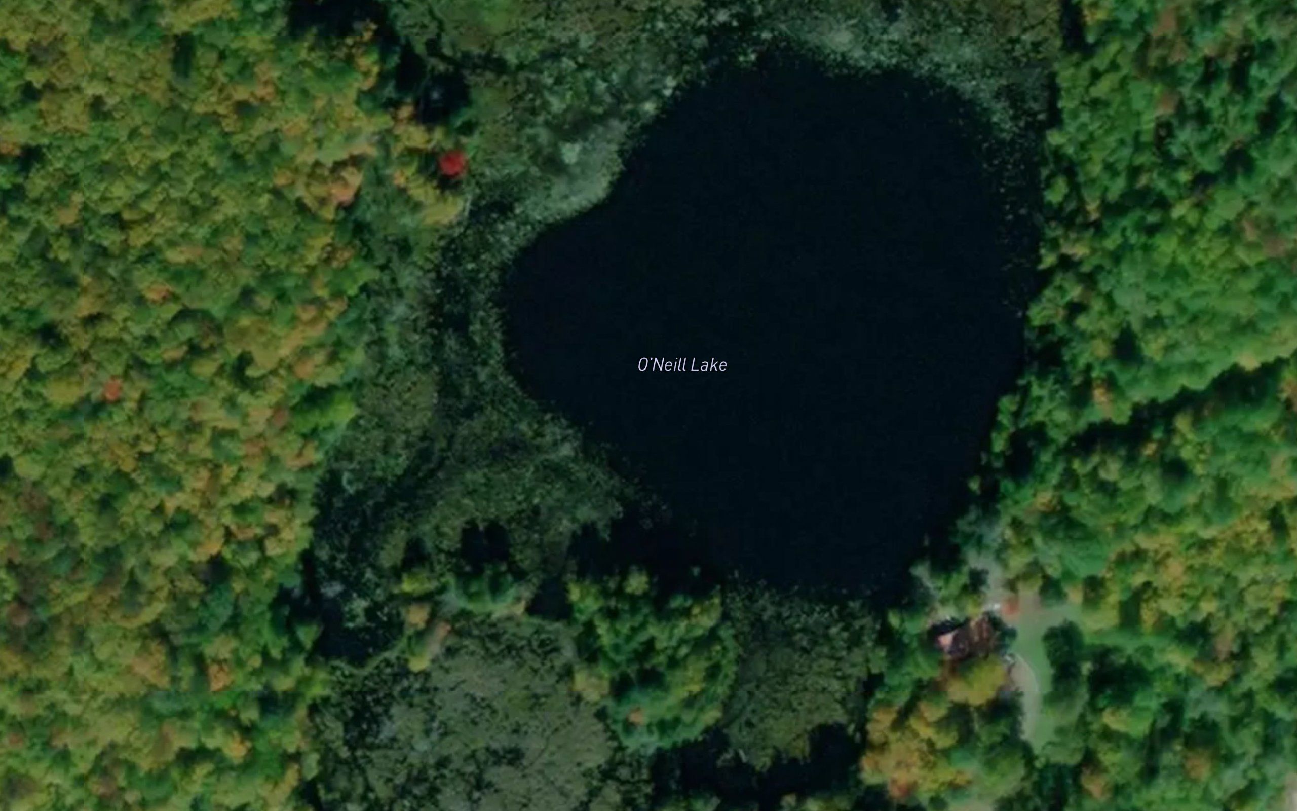 O'Neill Lake