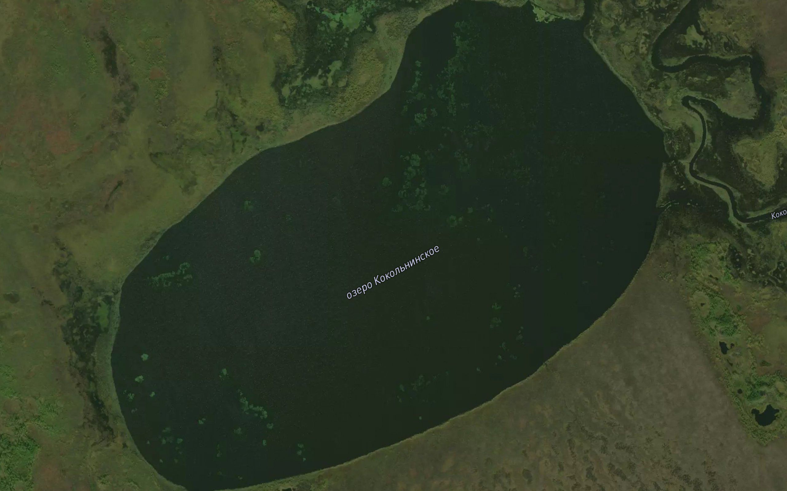 Ozero Kokol'ninskoye