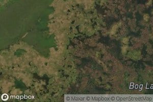 Bog Lake