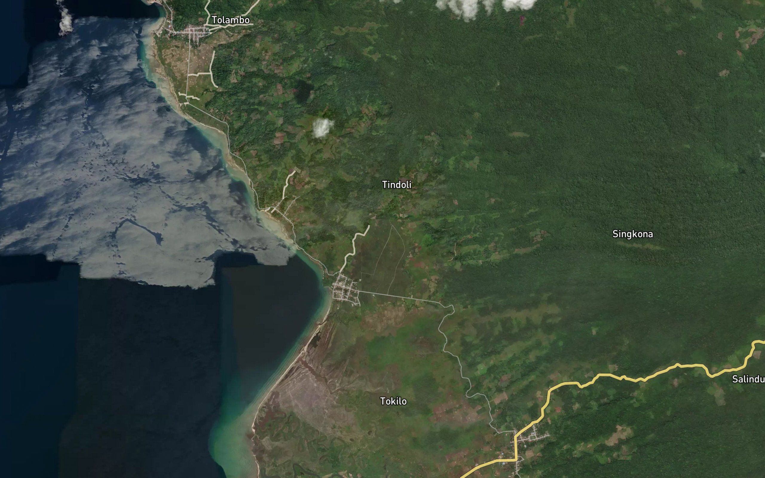 Koro Gelata