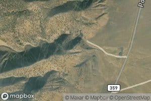 Large Williams Spring