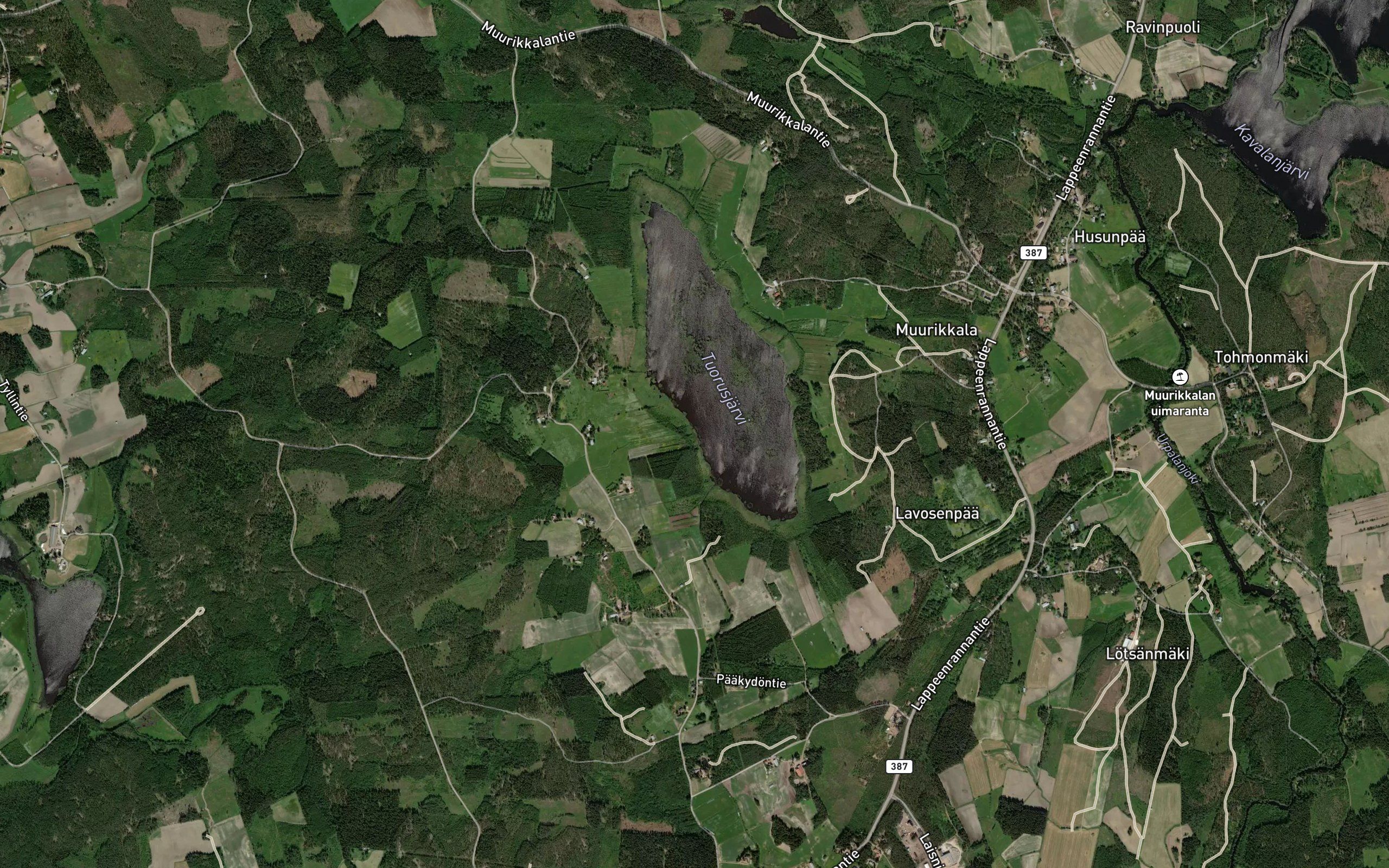 Holmanoja