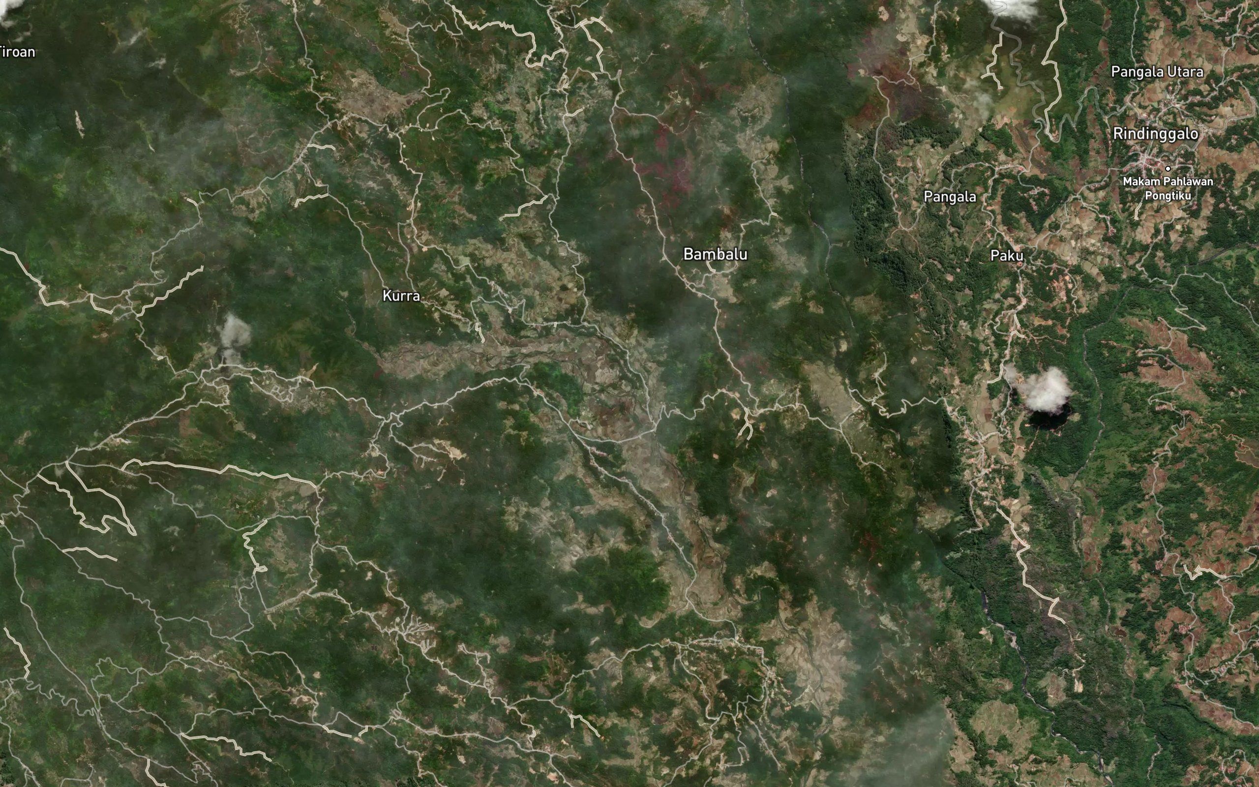 Salu Tatia