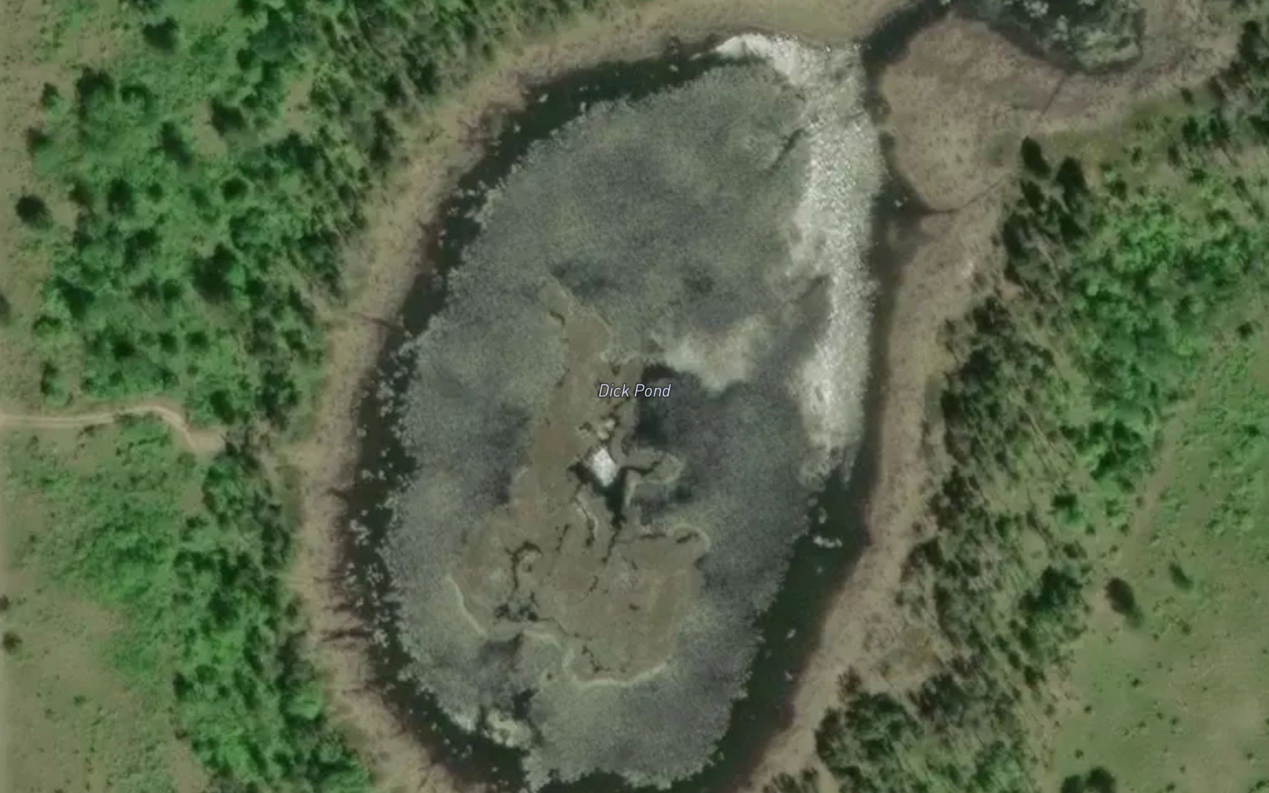 Dick Pond
