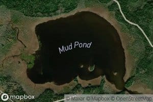 Mud Pond