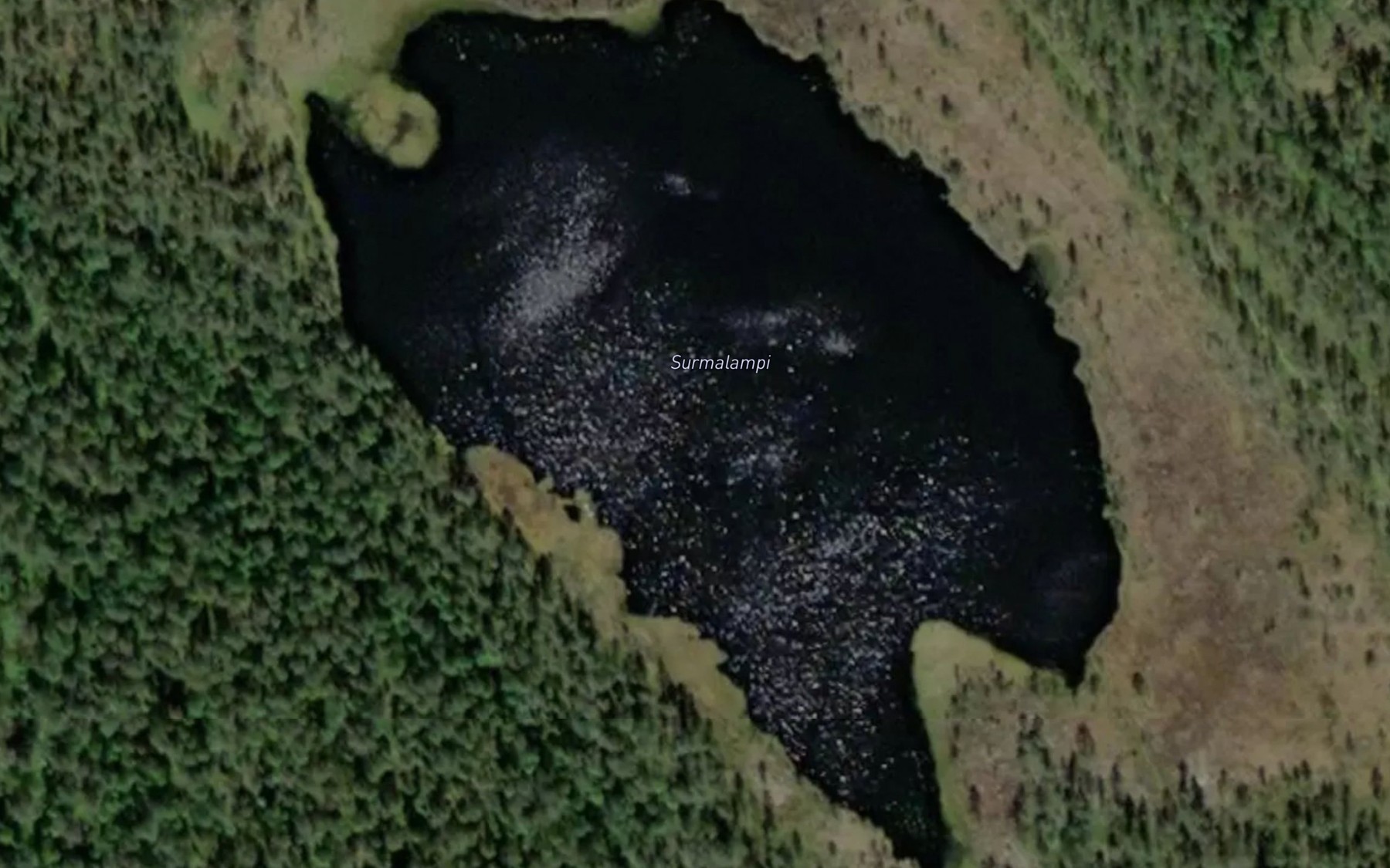 Satellite map of the Surmalampi