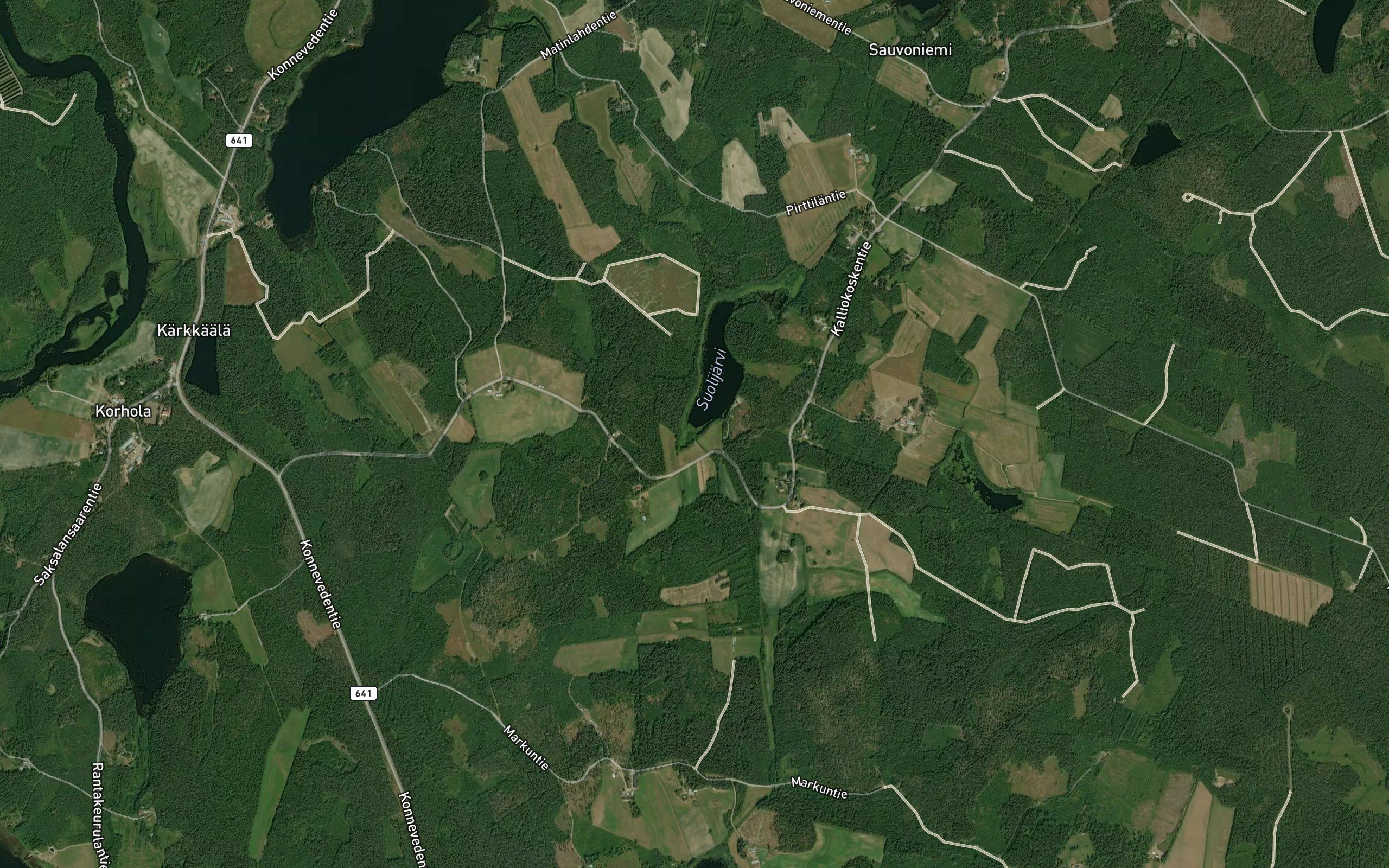 Palojoki
