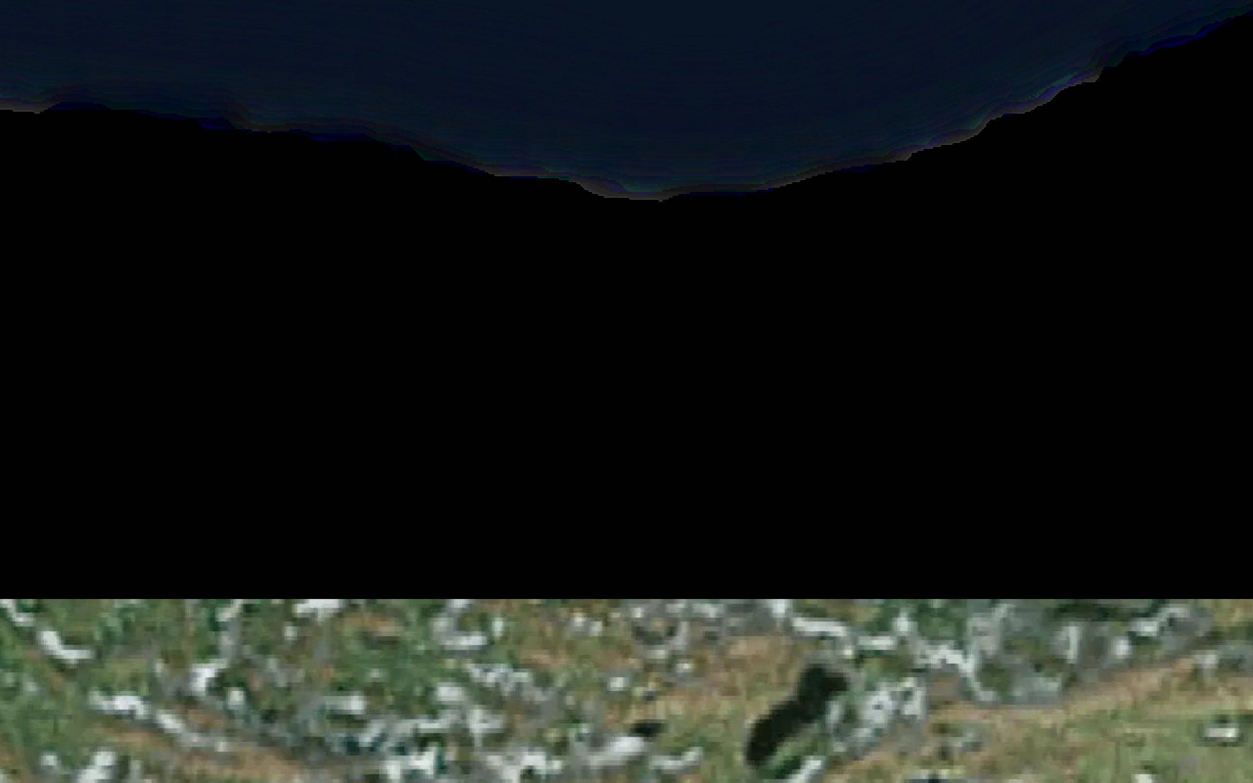 Alianaatsoq
