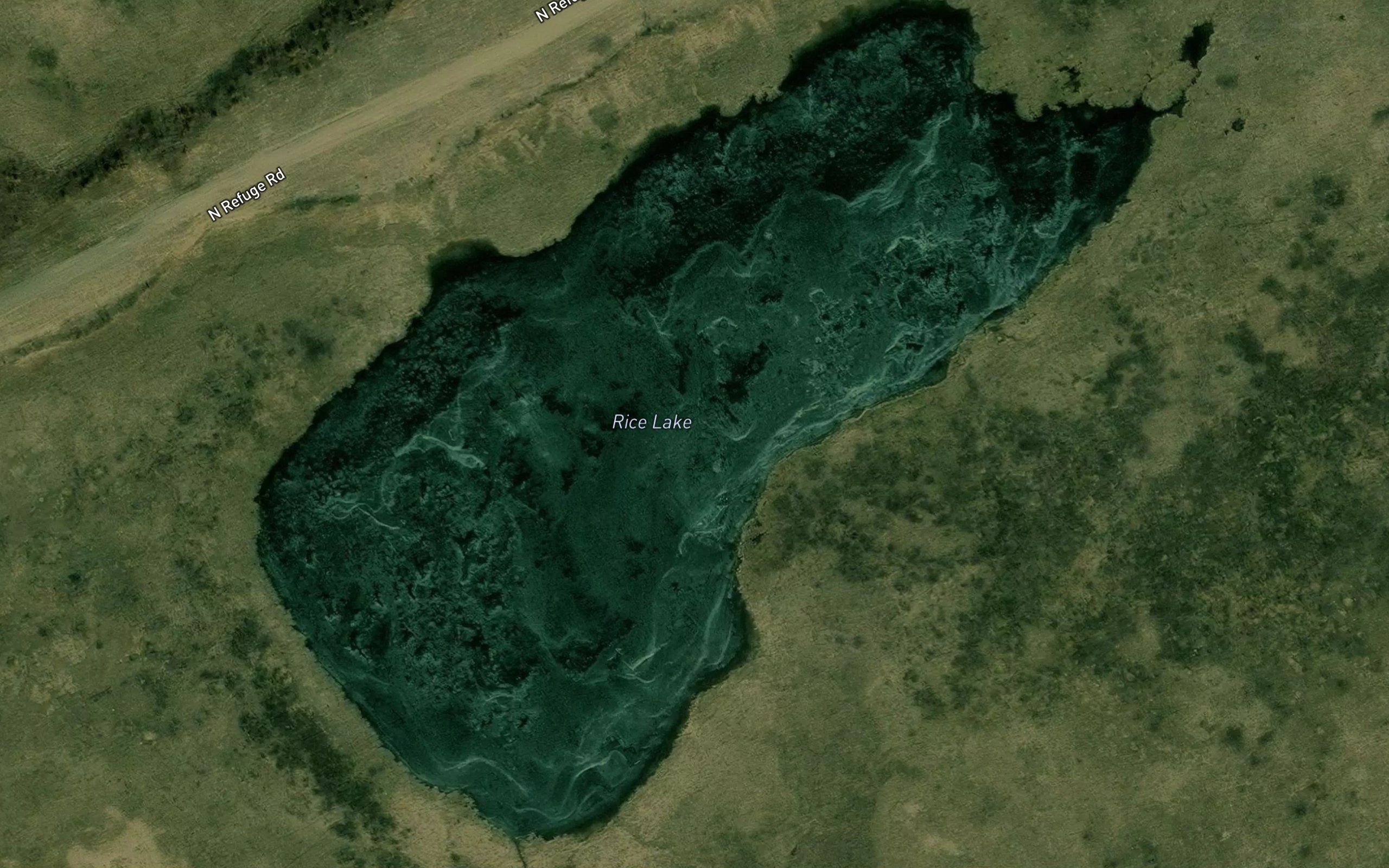 Rice Lake