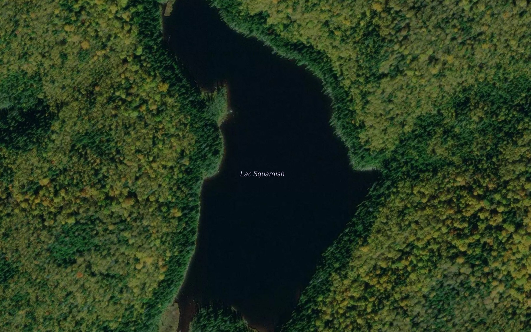 Satellite map of the Lac Squamish
