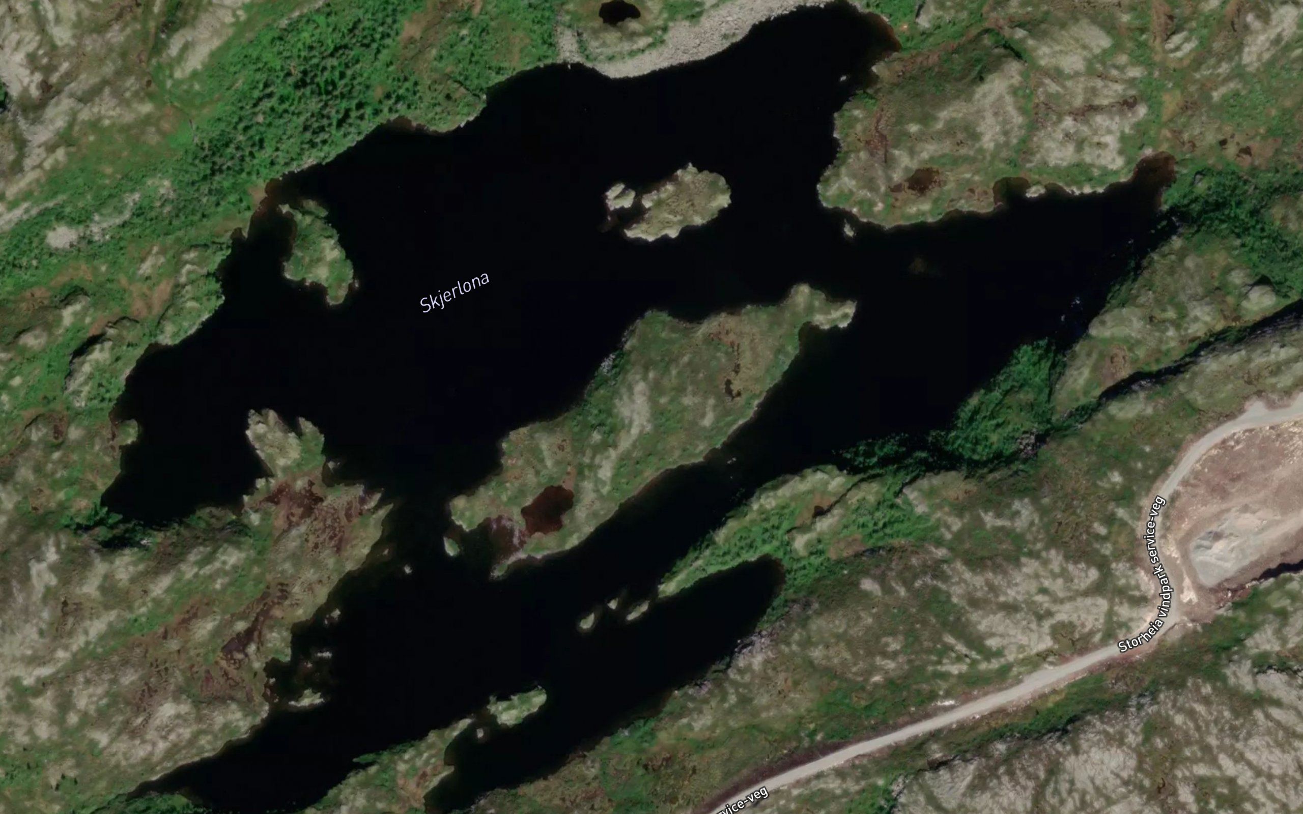 Skjerlona