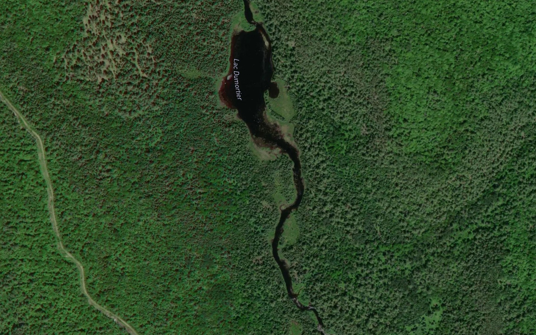 Satellite map of the Lac Dumortier