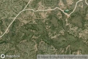Mud Dauber Creek