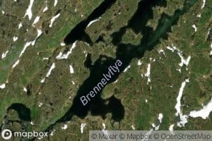 Brennelvflya