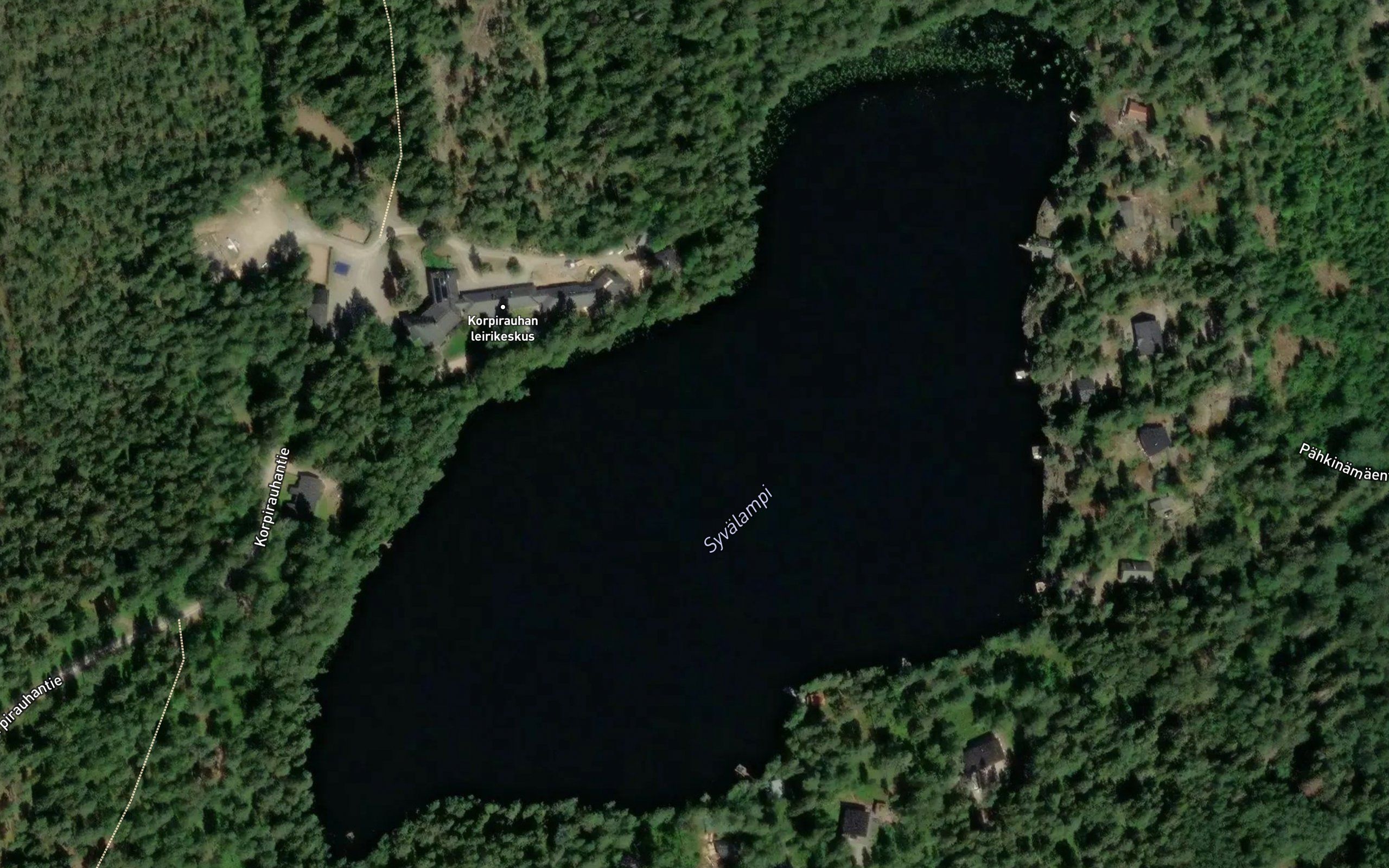 Syvalampi