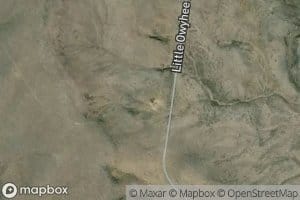 Coyote Spring