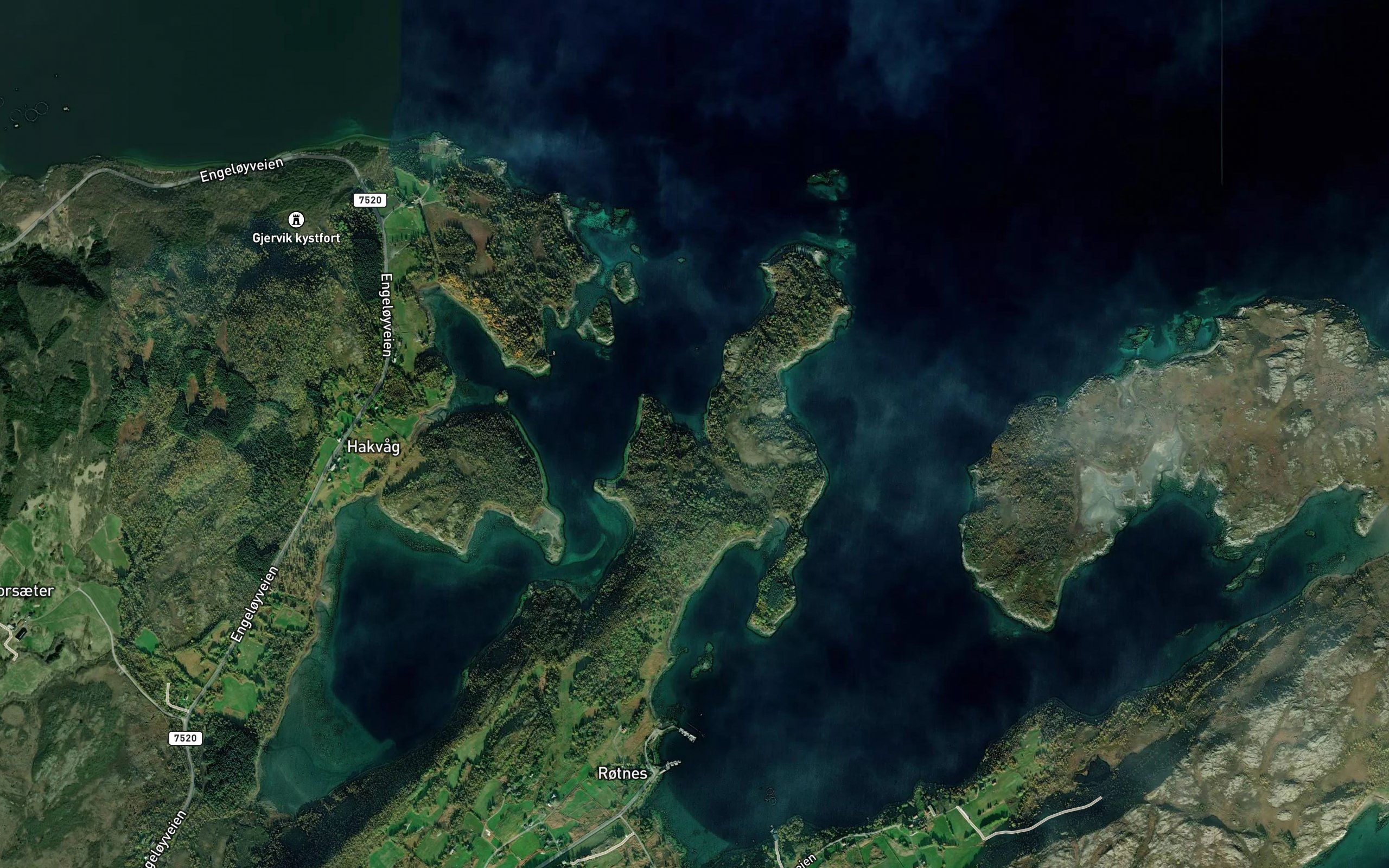 Krakvika