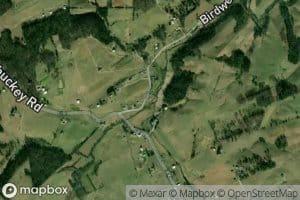 Little Meadow Creek