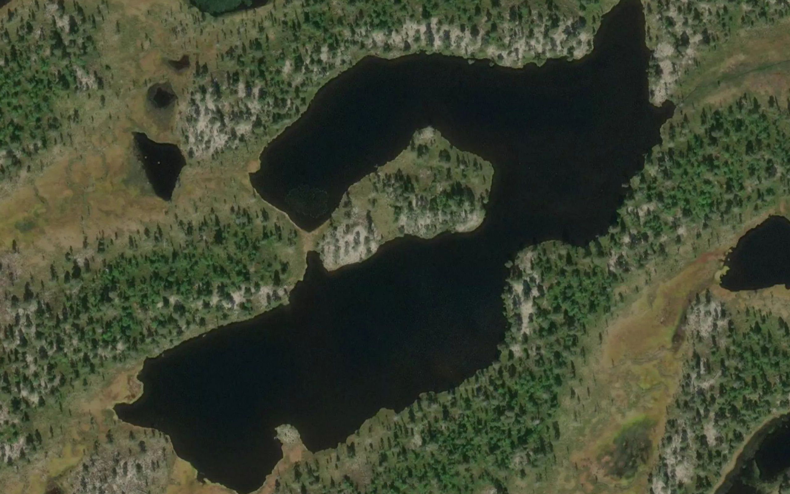 Storhestskotjonna