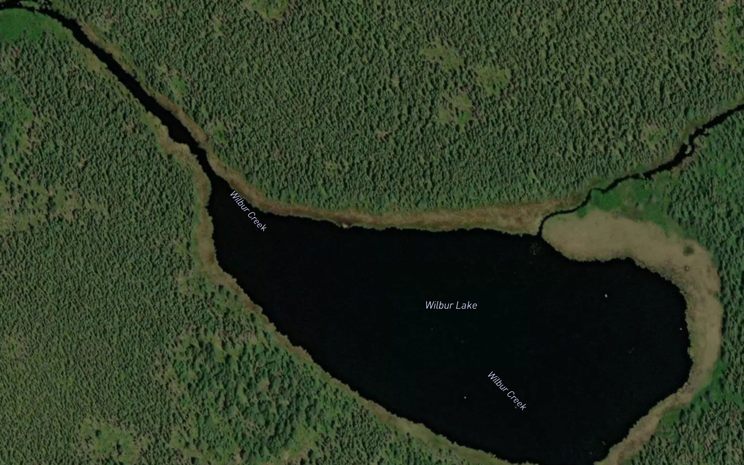 Wilbur Lake