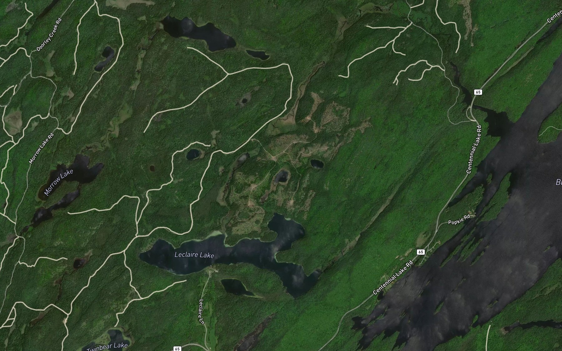 Satellite map of the Steer Lake